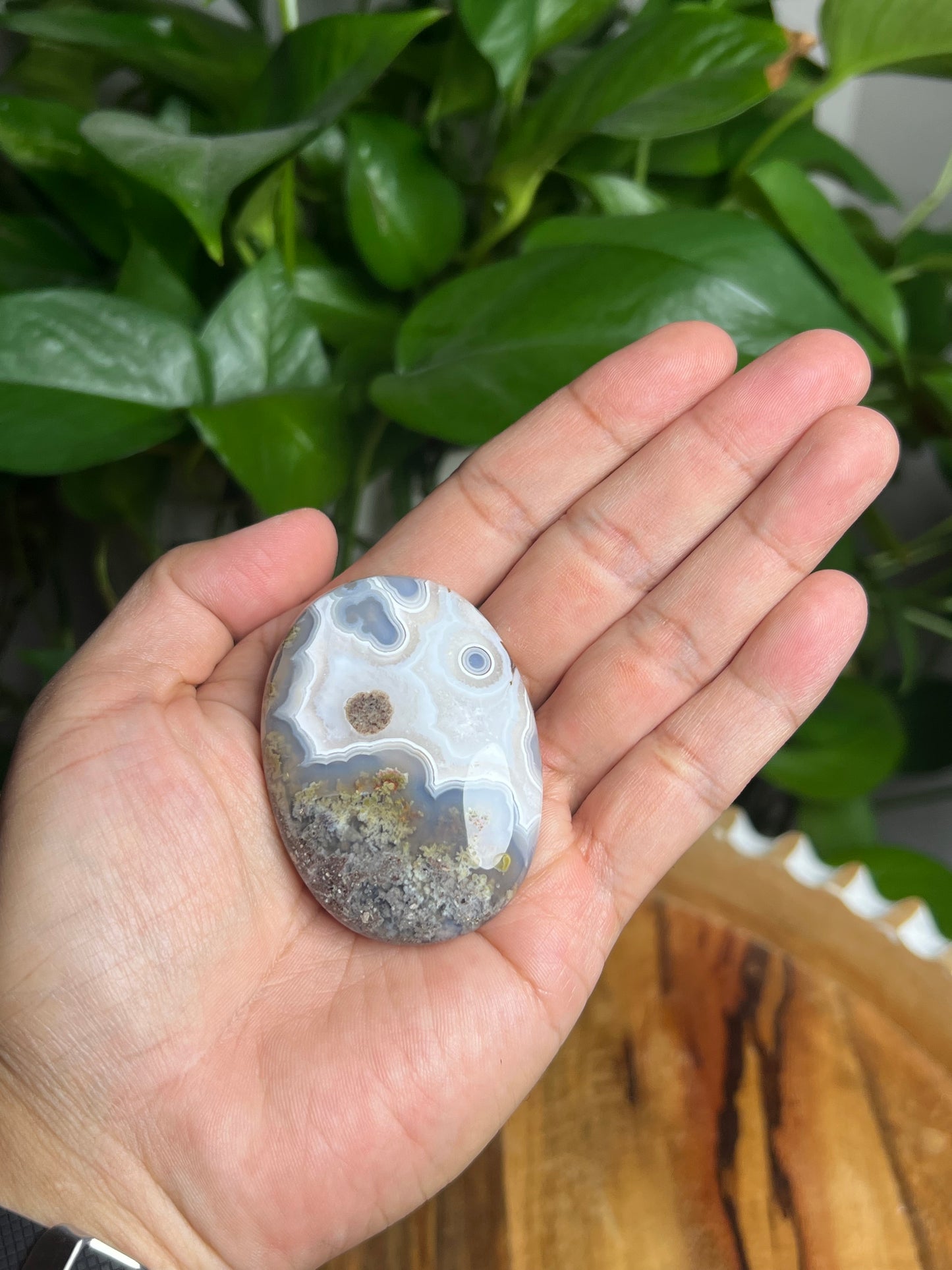 Scenic Moss Agate Palmstone: Qi