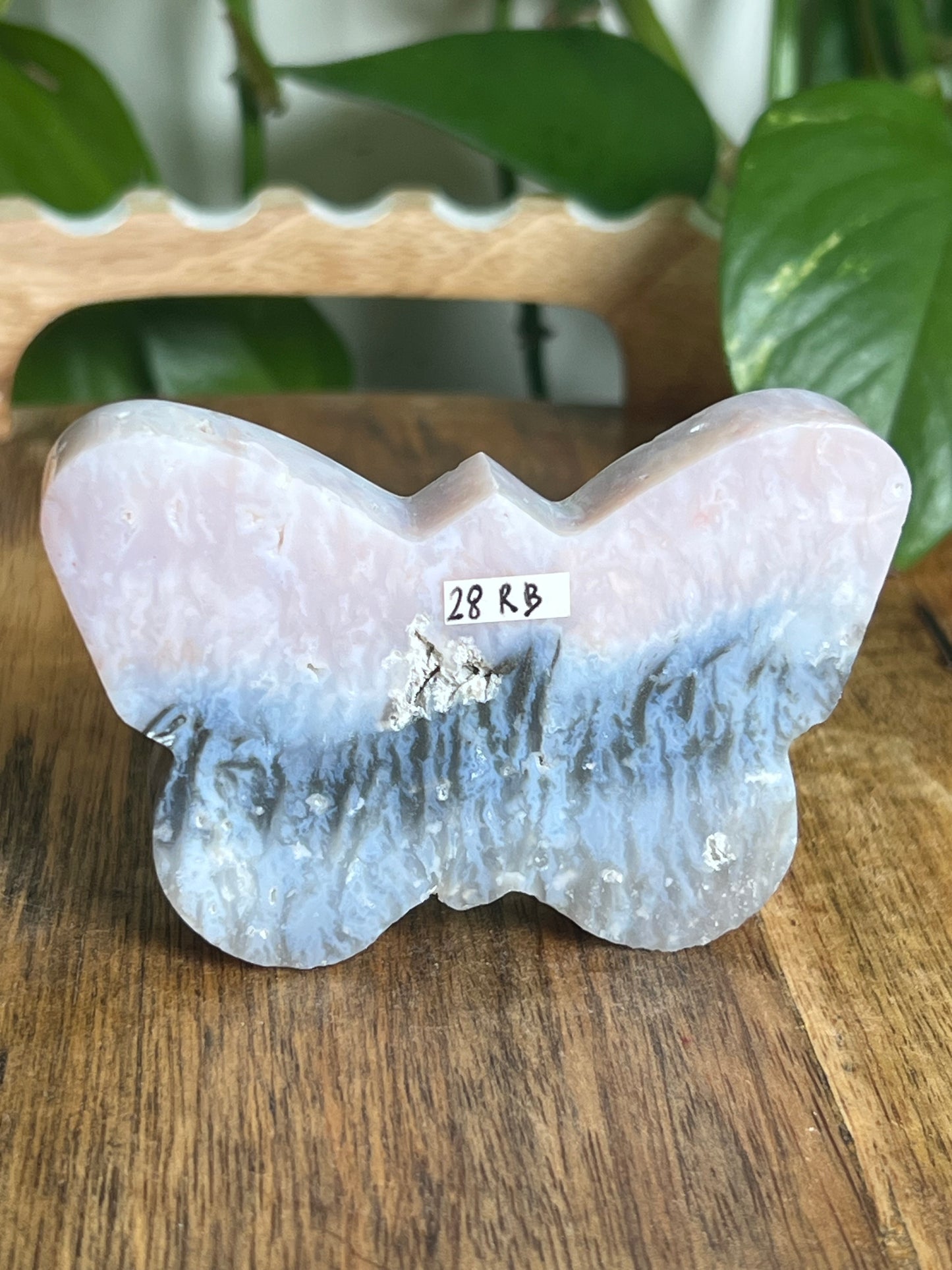 Rainbow Plume Agate Butterfly RB