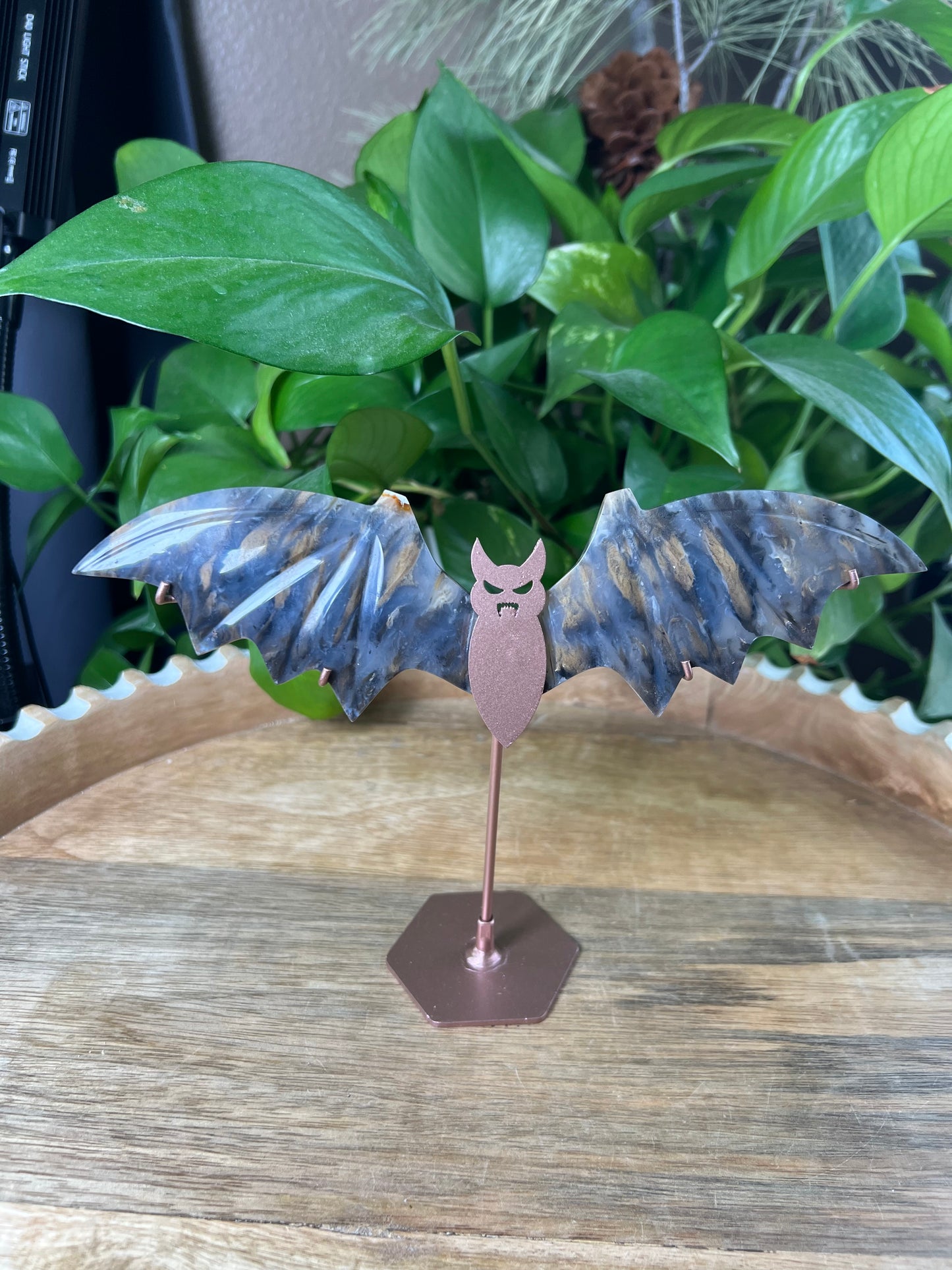 Dendritic Tiger Agate Bat Wings