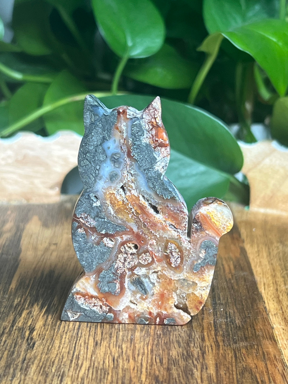 Marcasite Cat: DE
