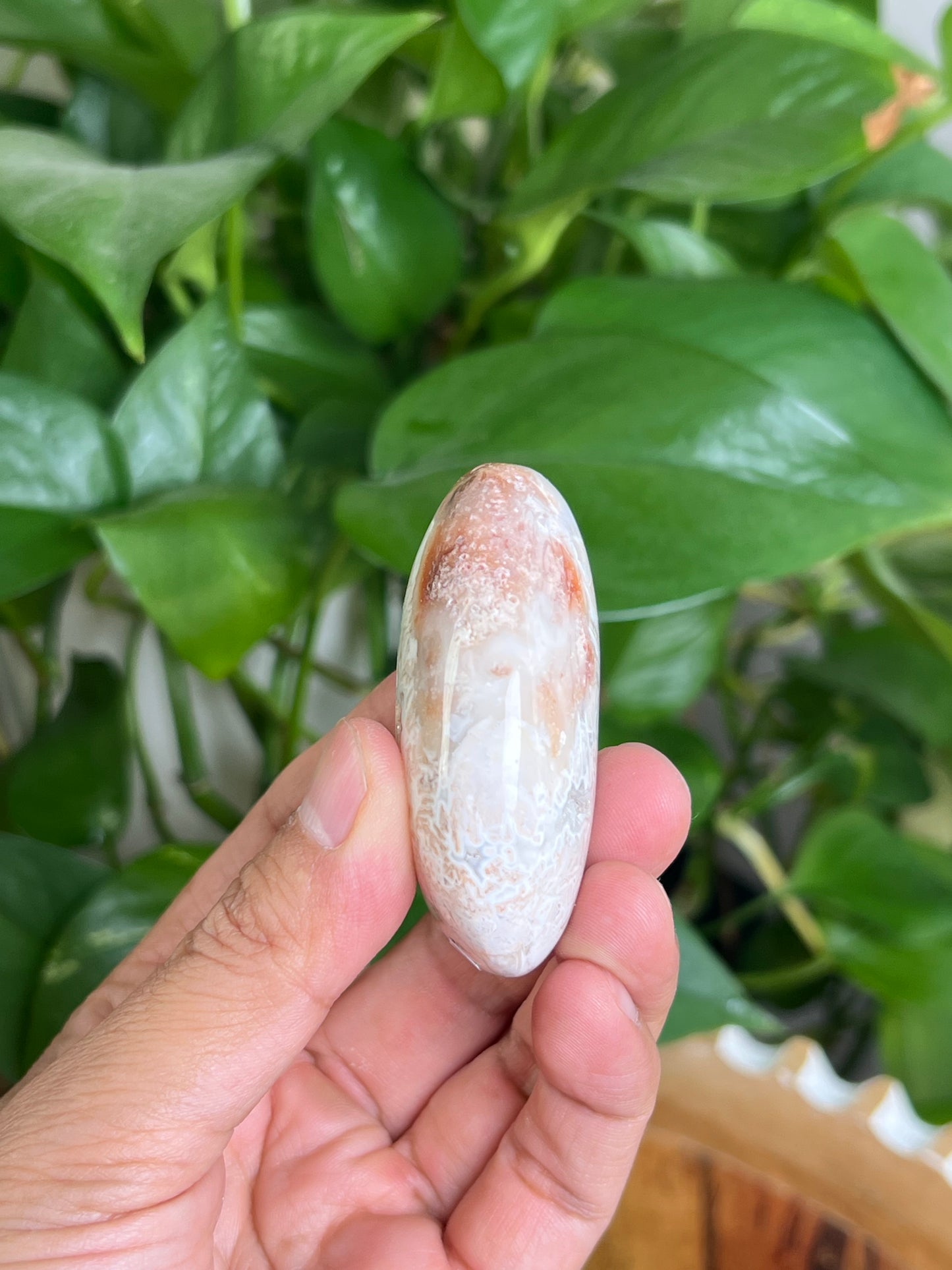 Tube Agate Palmstone: NA