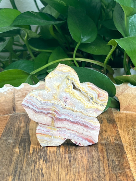 Crazy Lace Agate Flower: Ci