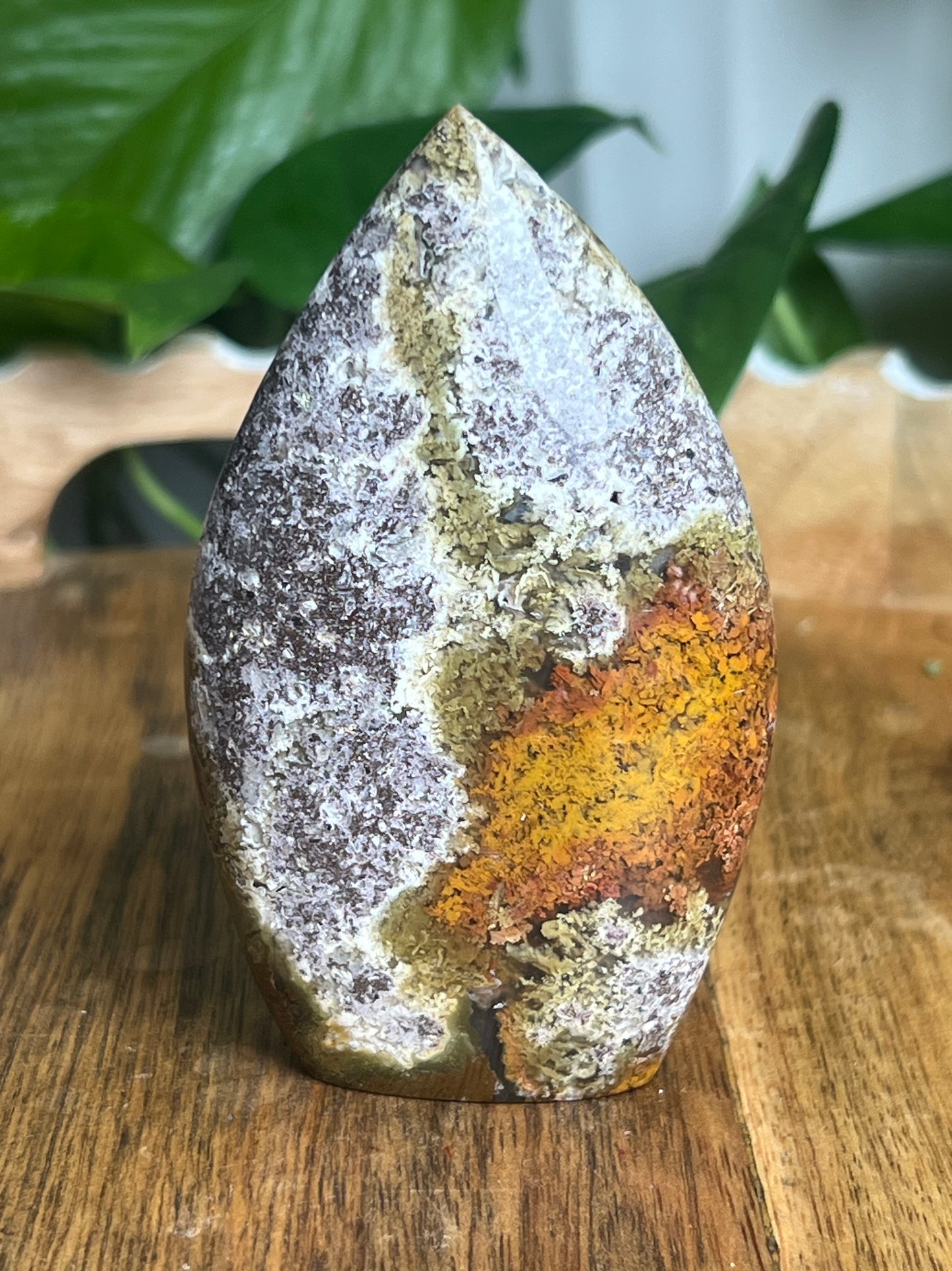 Scenic Moss Agate Flame XB