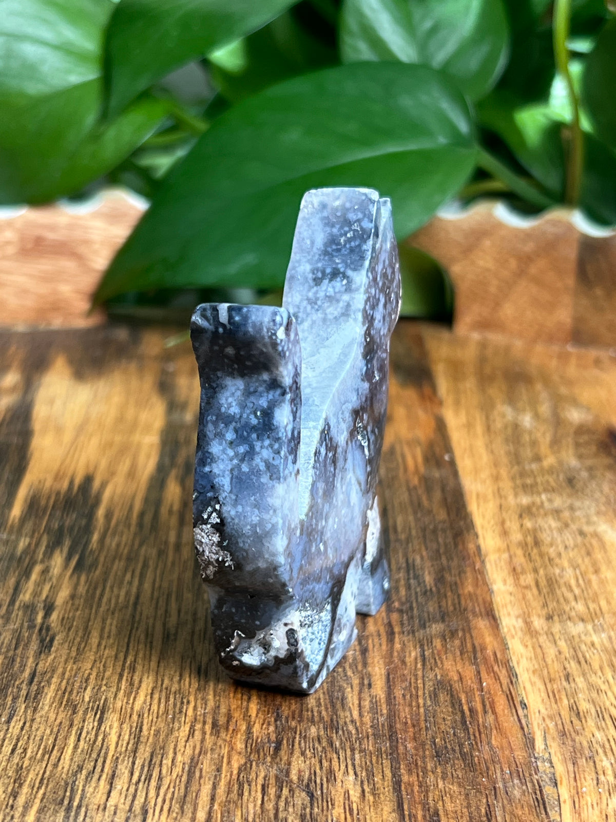 Blue Plume Agate Cat: LF