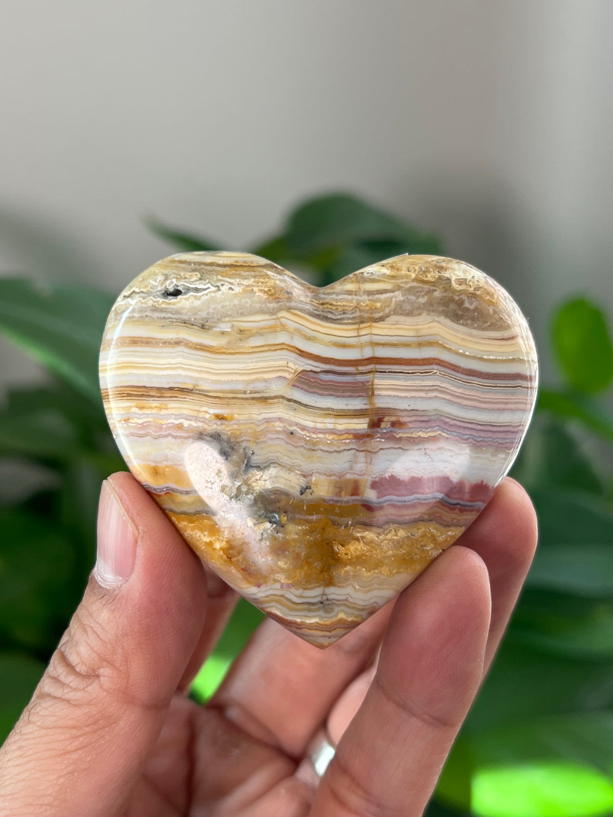 Crazy Lace Agate Small Puffy Moons