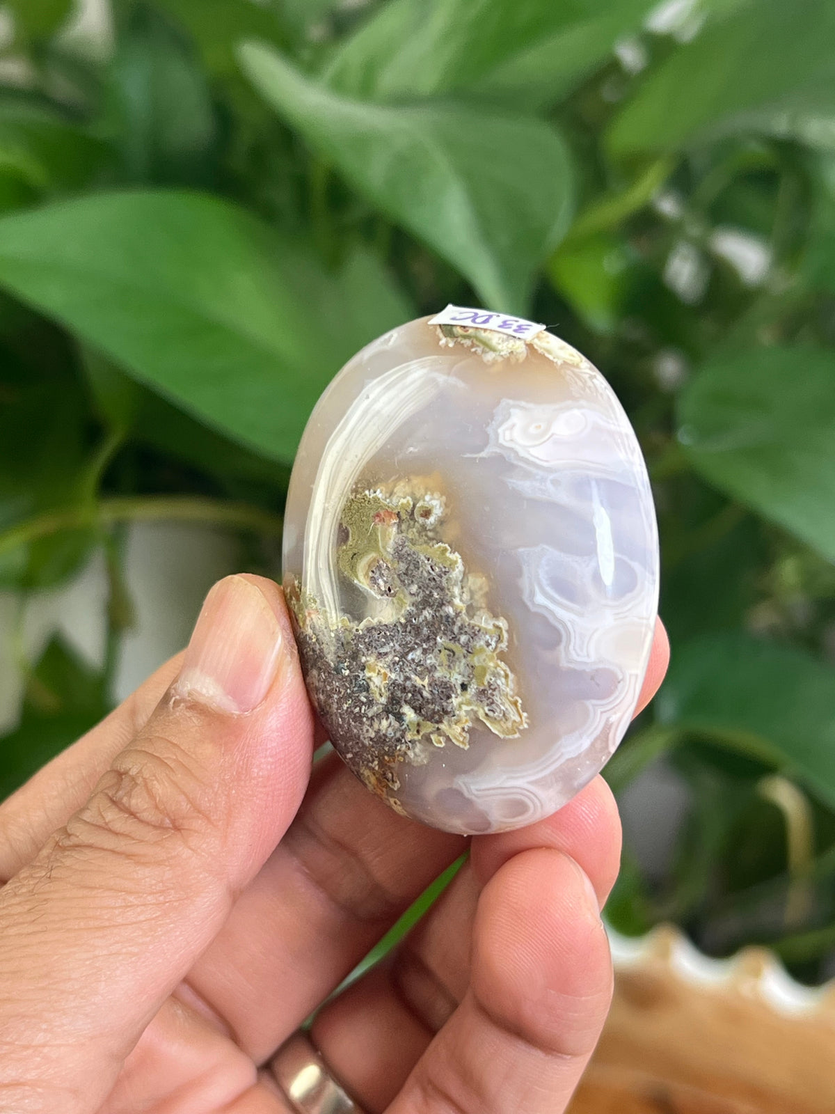 Scenic Moss Agate Palmstone: DC