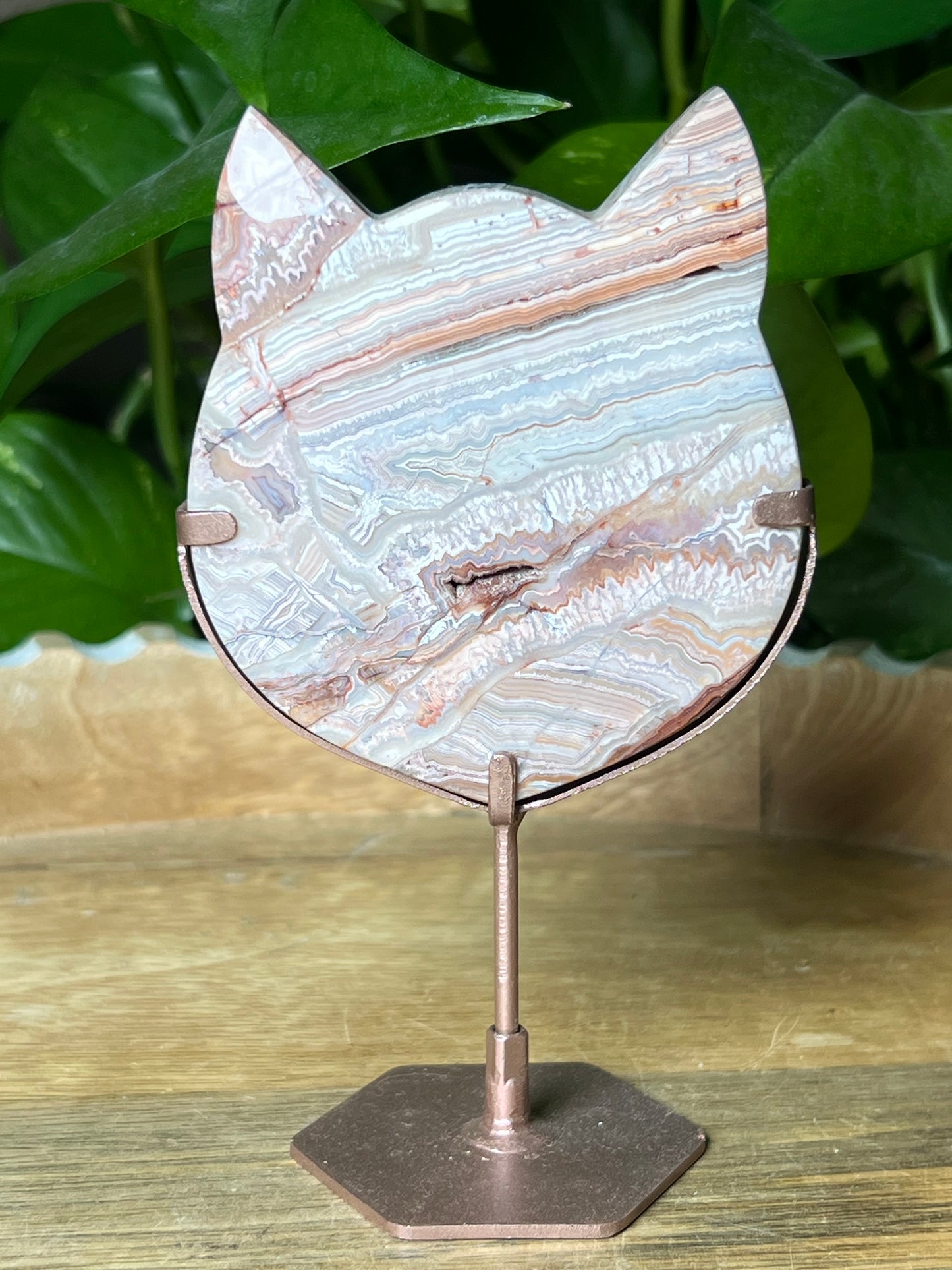 Crazy Lace Agate Cat Head