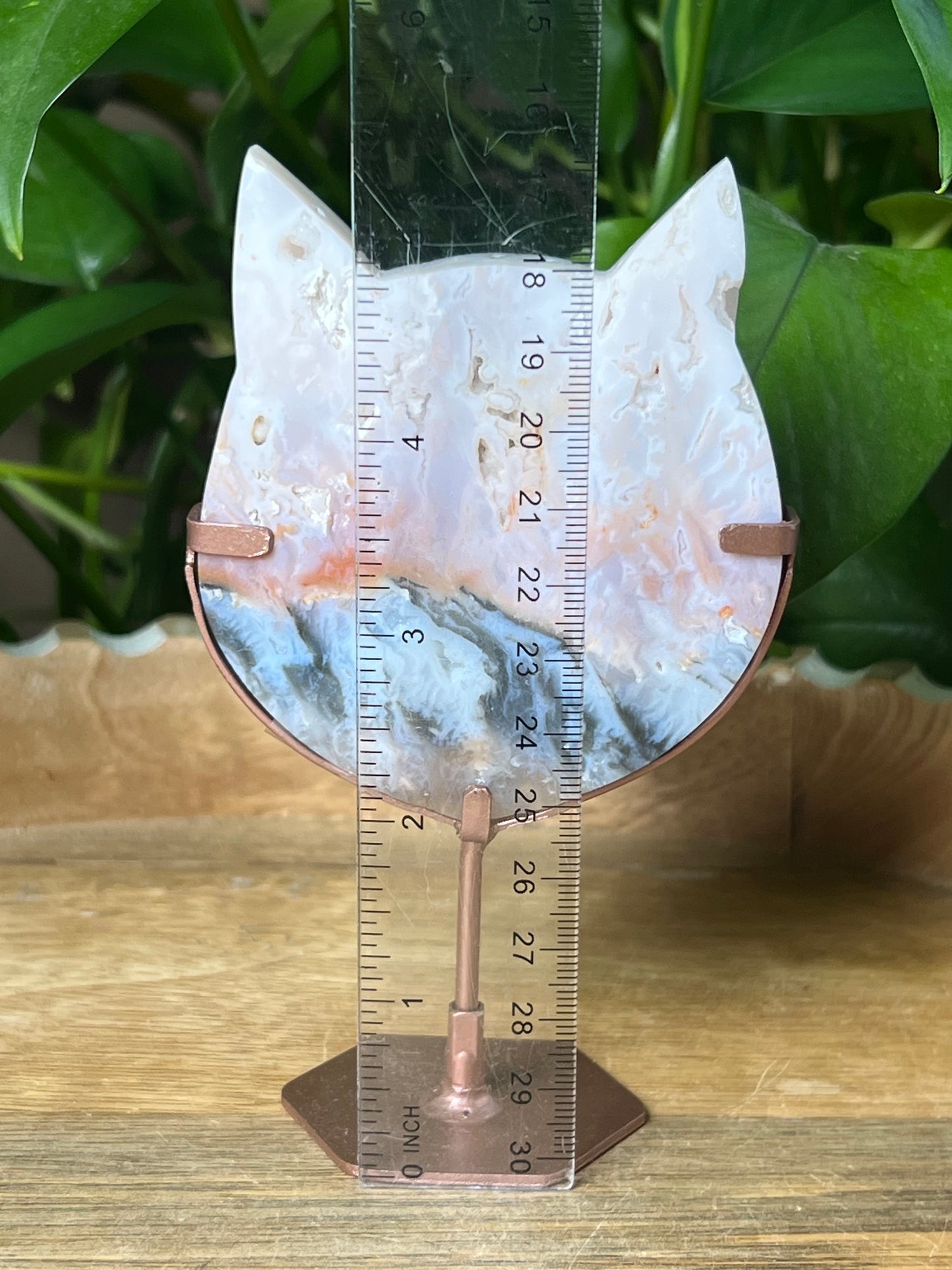 Rainbow Plume Agate Cat Head
