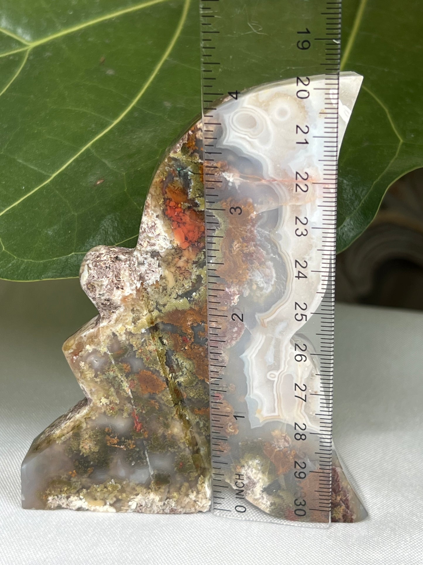 Scenic Moss Agate