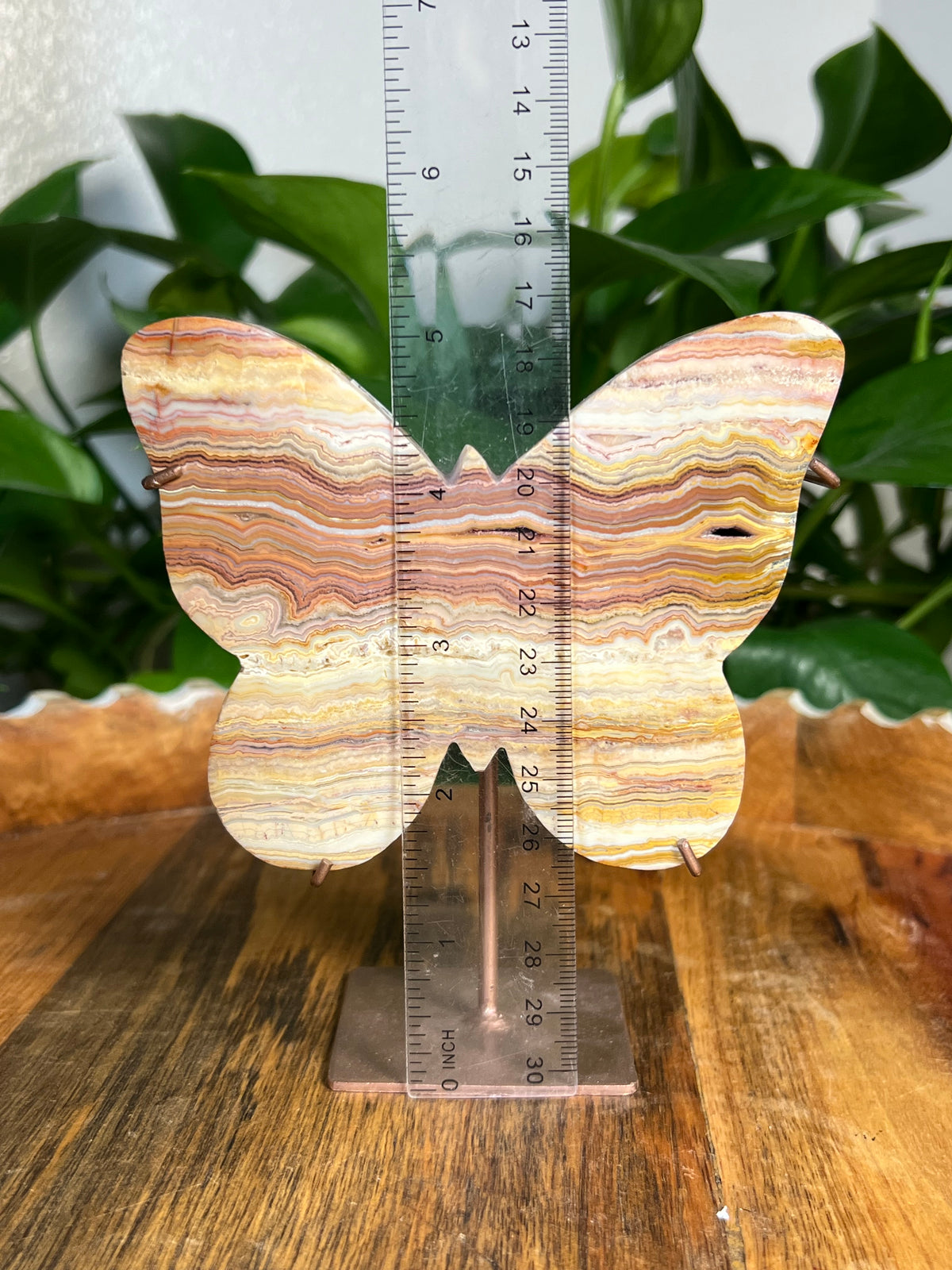 Crazy Lace Agate Butterflies