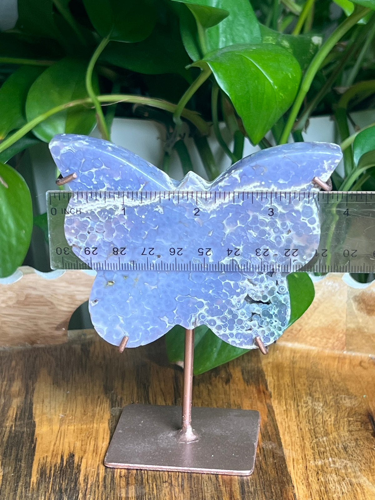 Grape Agate Butterfly: PX