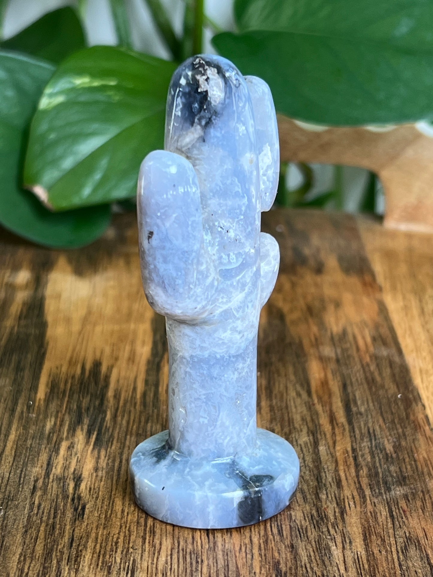 Blue Plume Agate Cactus: Q