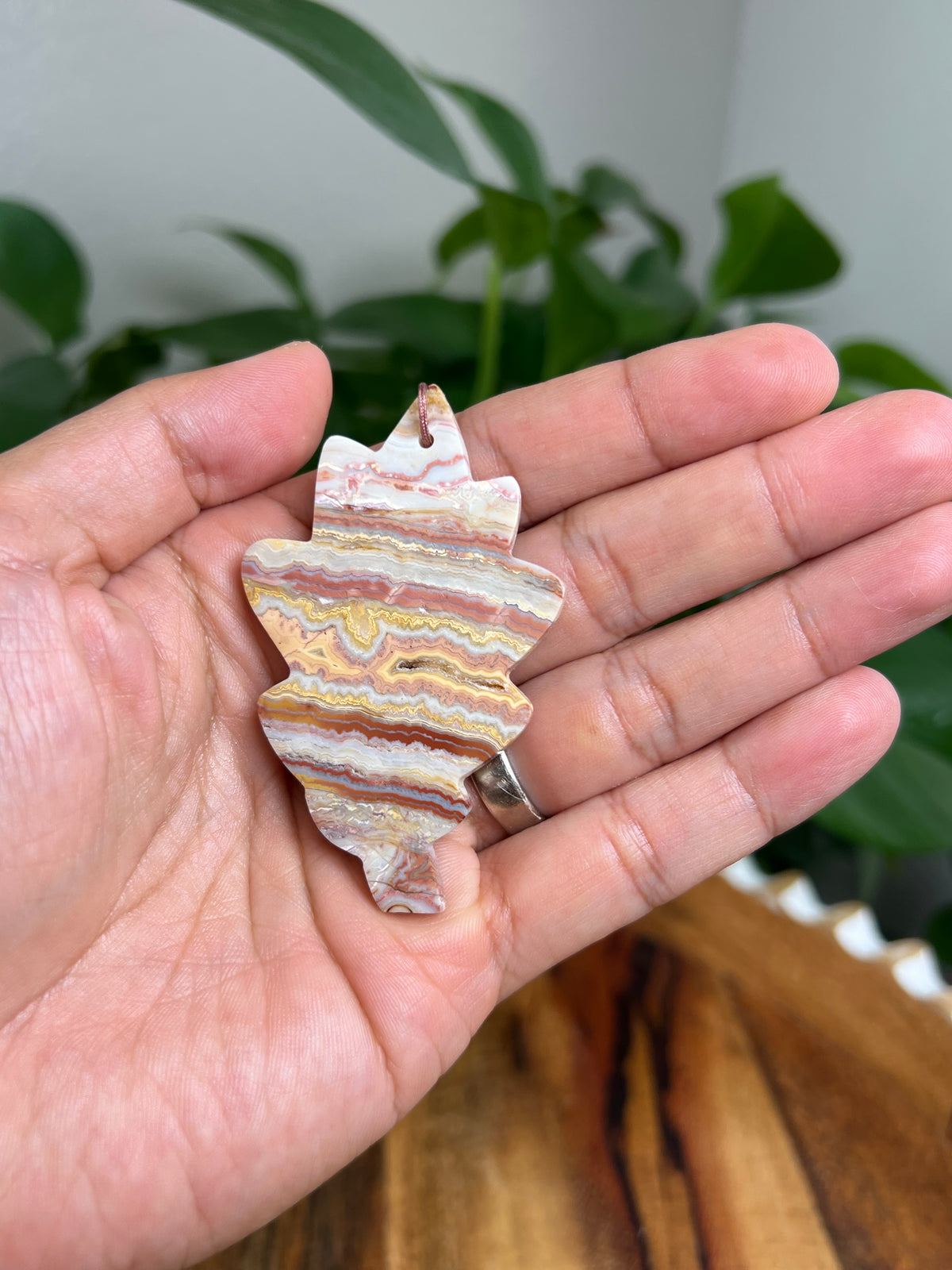 Crazy Lace Agate Ornament Leaf: AY