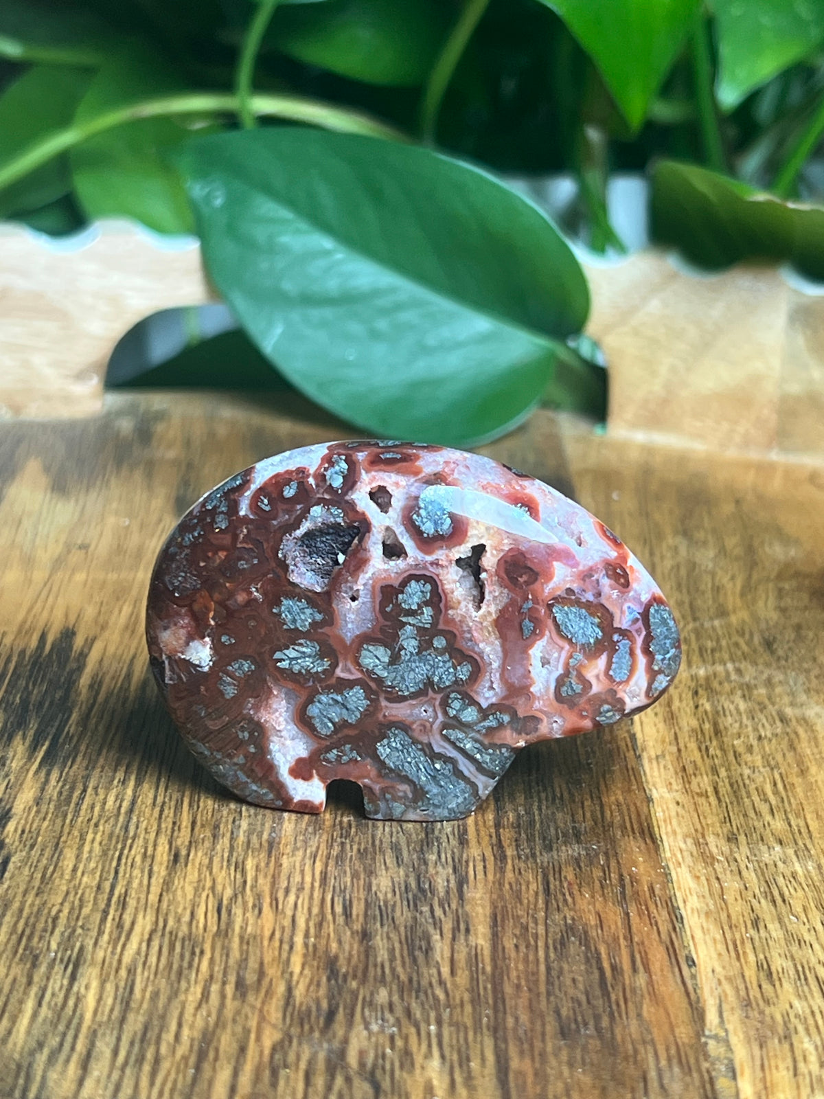 Marcasite Mini Bear: RD