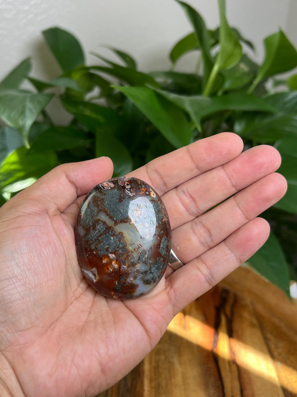 Marcasite Palmstone: BC