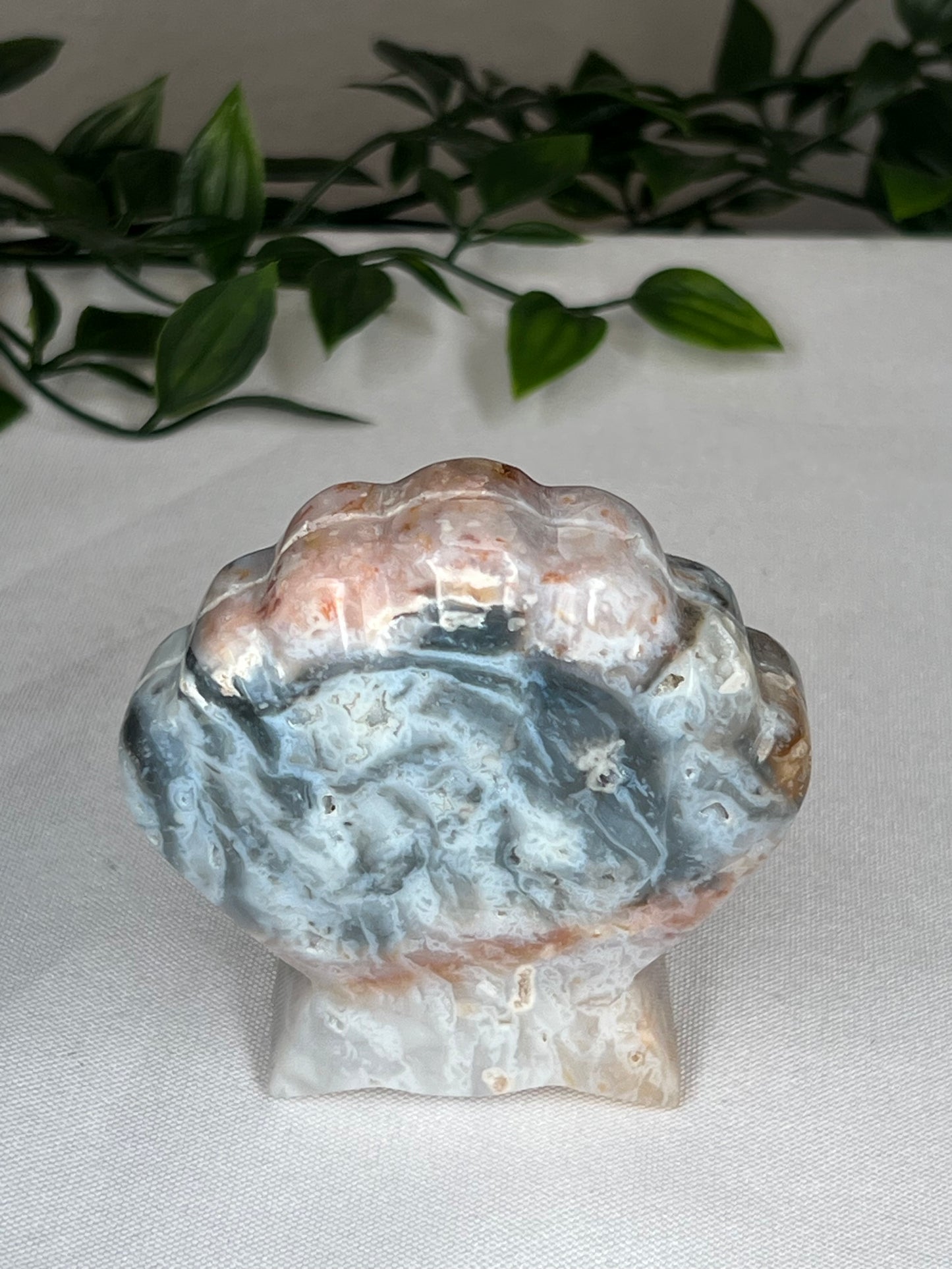 Rainbow Plume Agate Shell