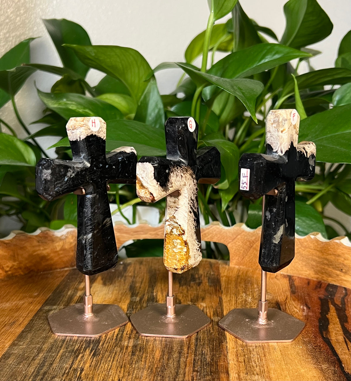 Palm Root Crosses