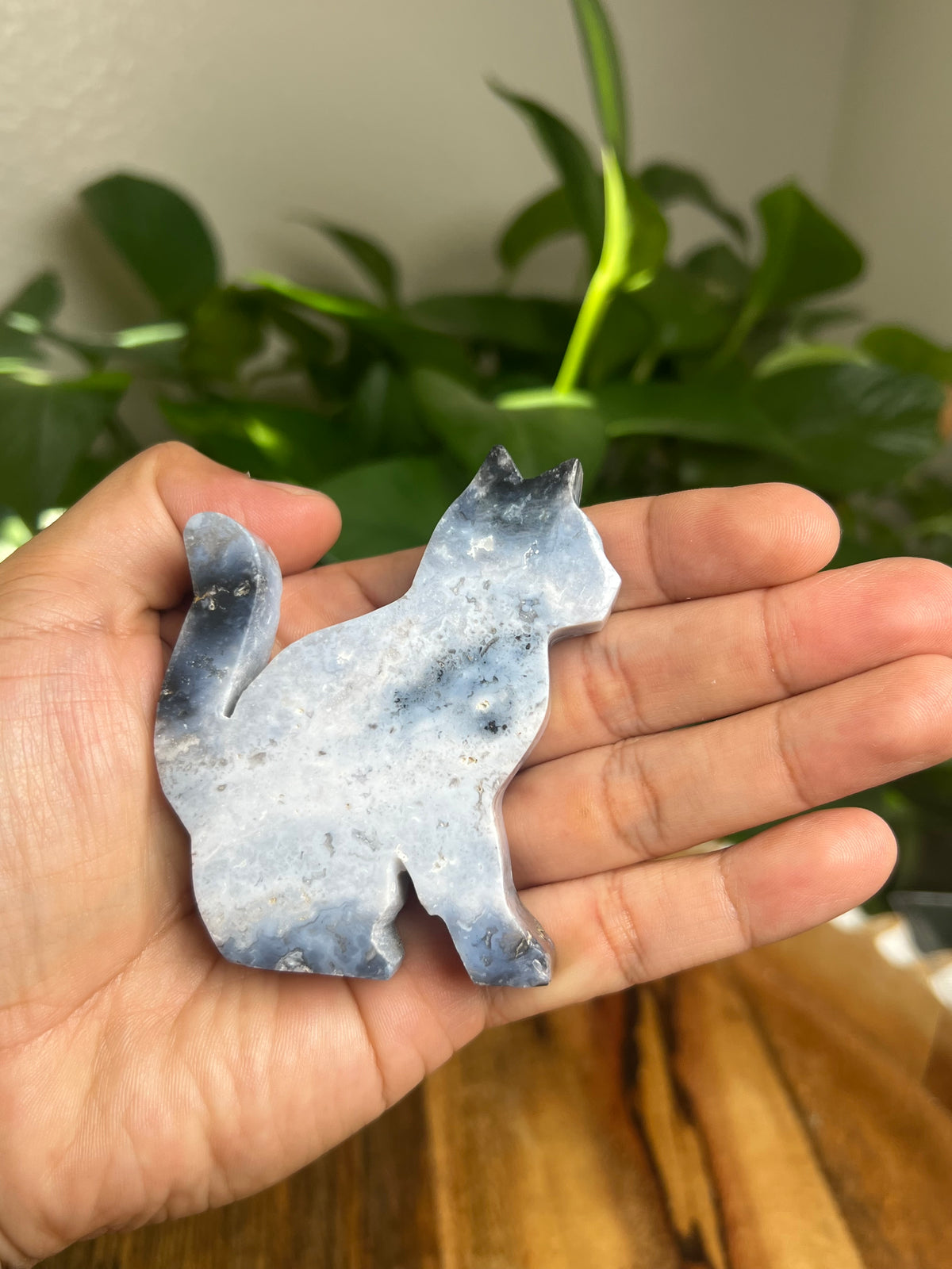 Blue Plume Agate Cat: AD