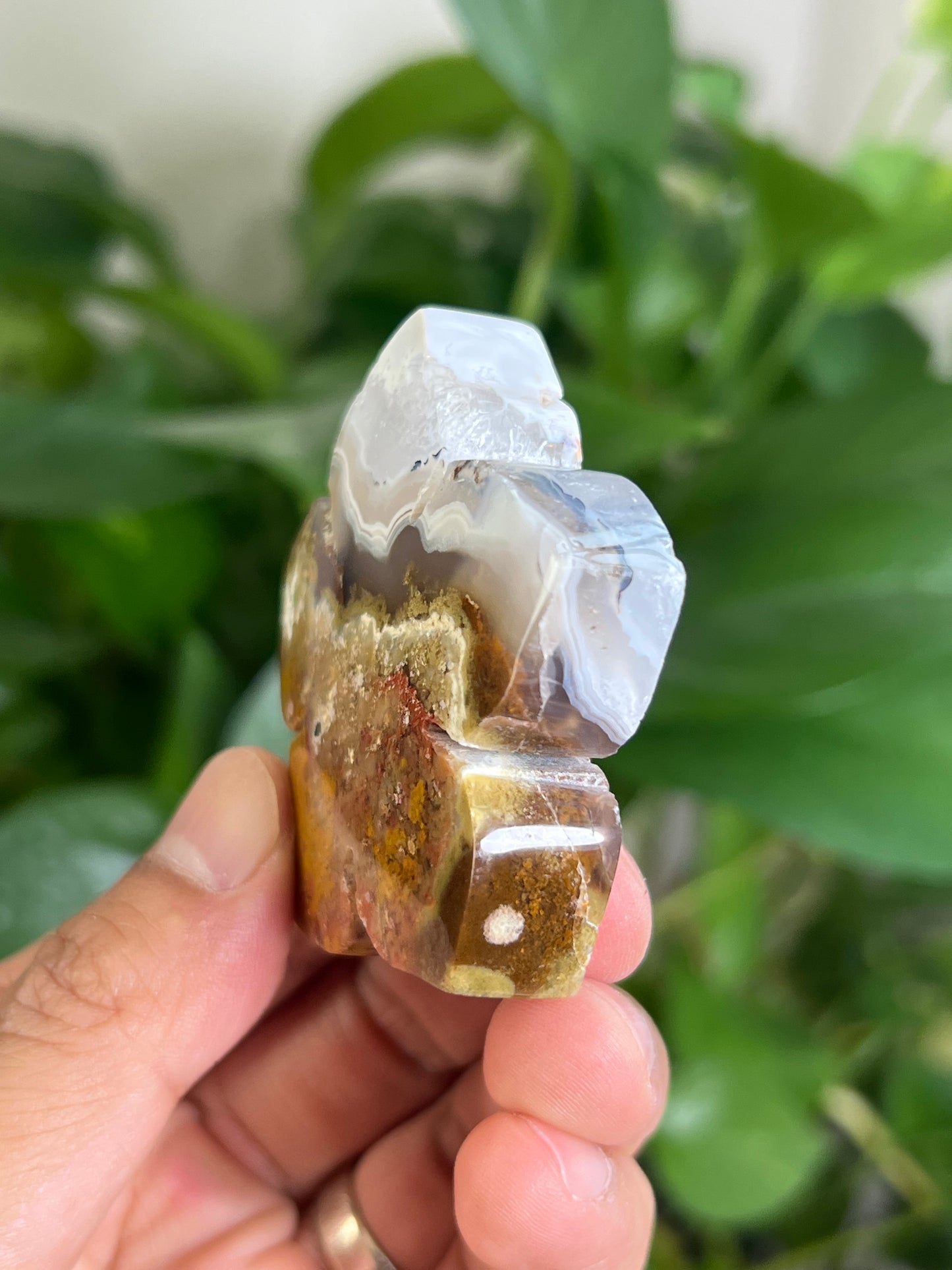 Scenic Moss Agate Flower ND