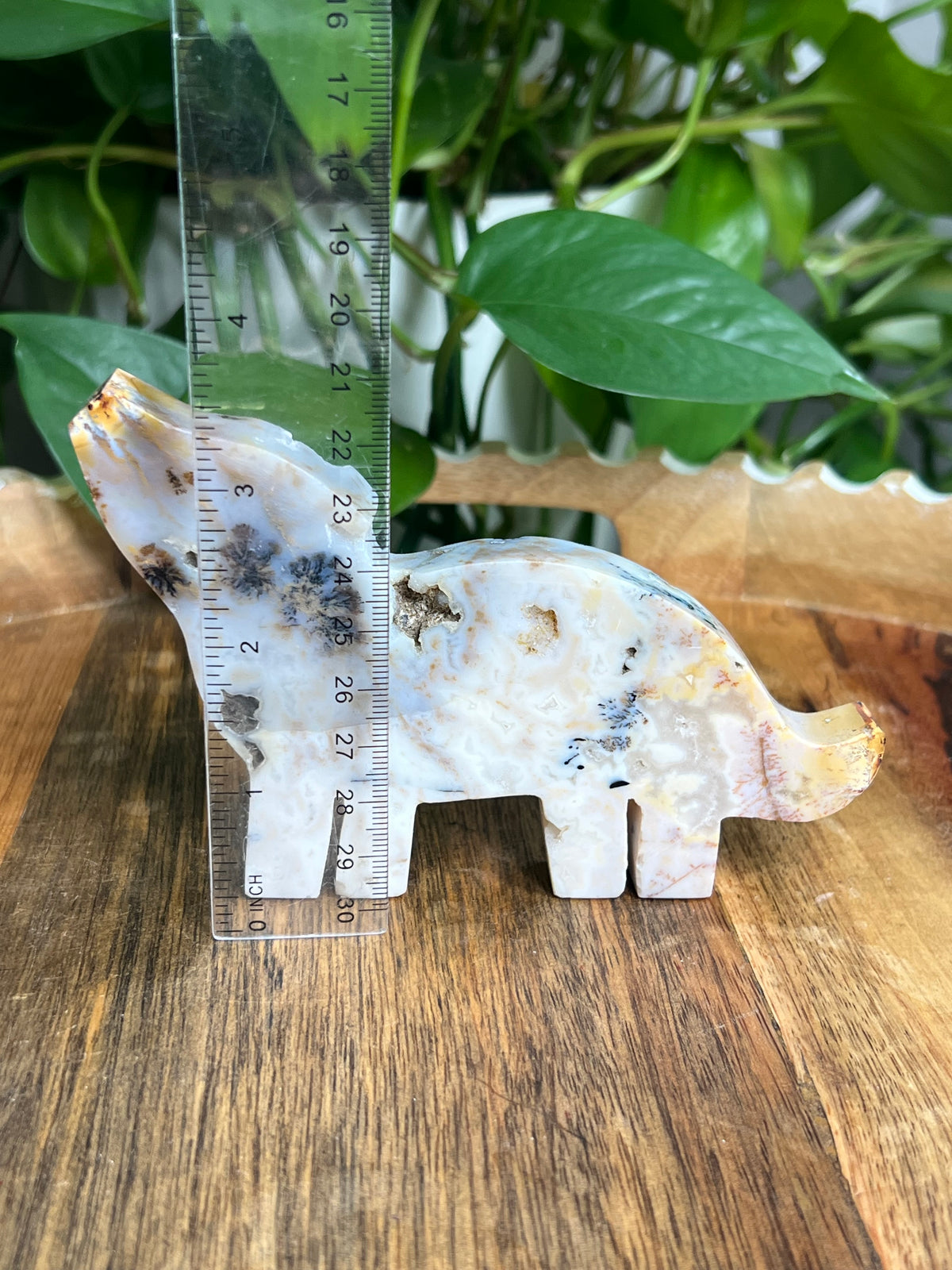 Dendritic Tiger Agate Wolf: B