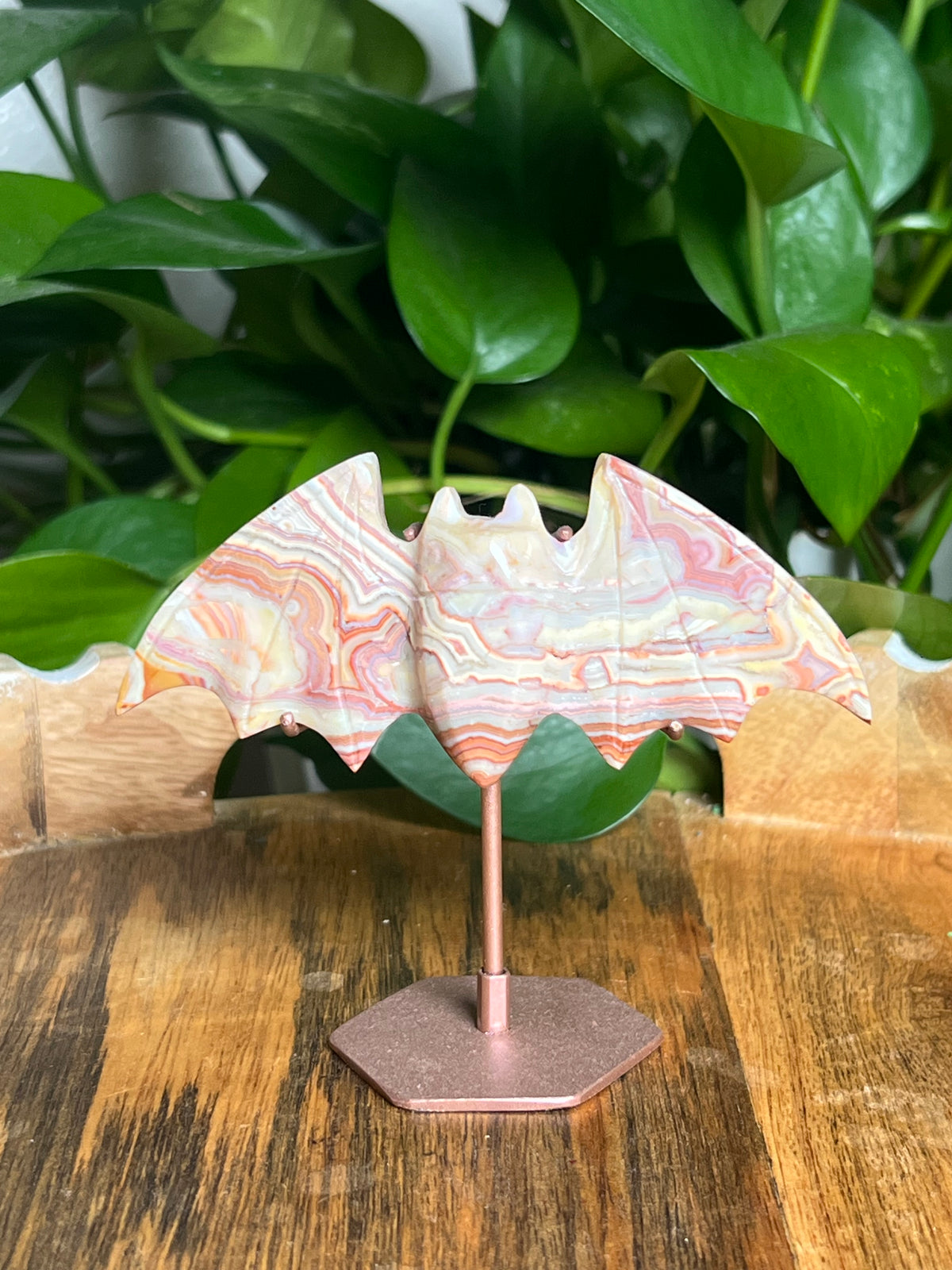 Crazy Lace Agate Bat: A