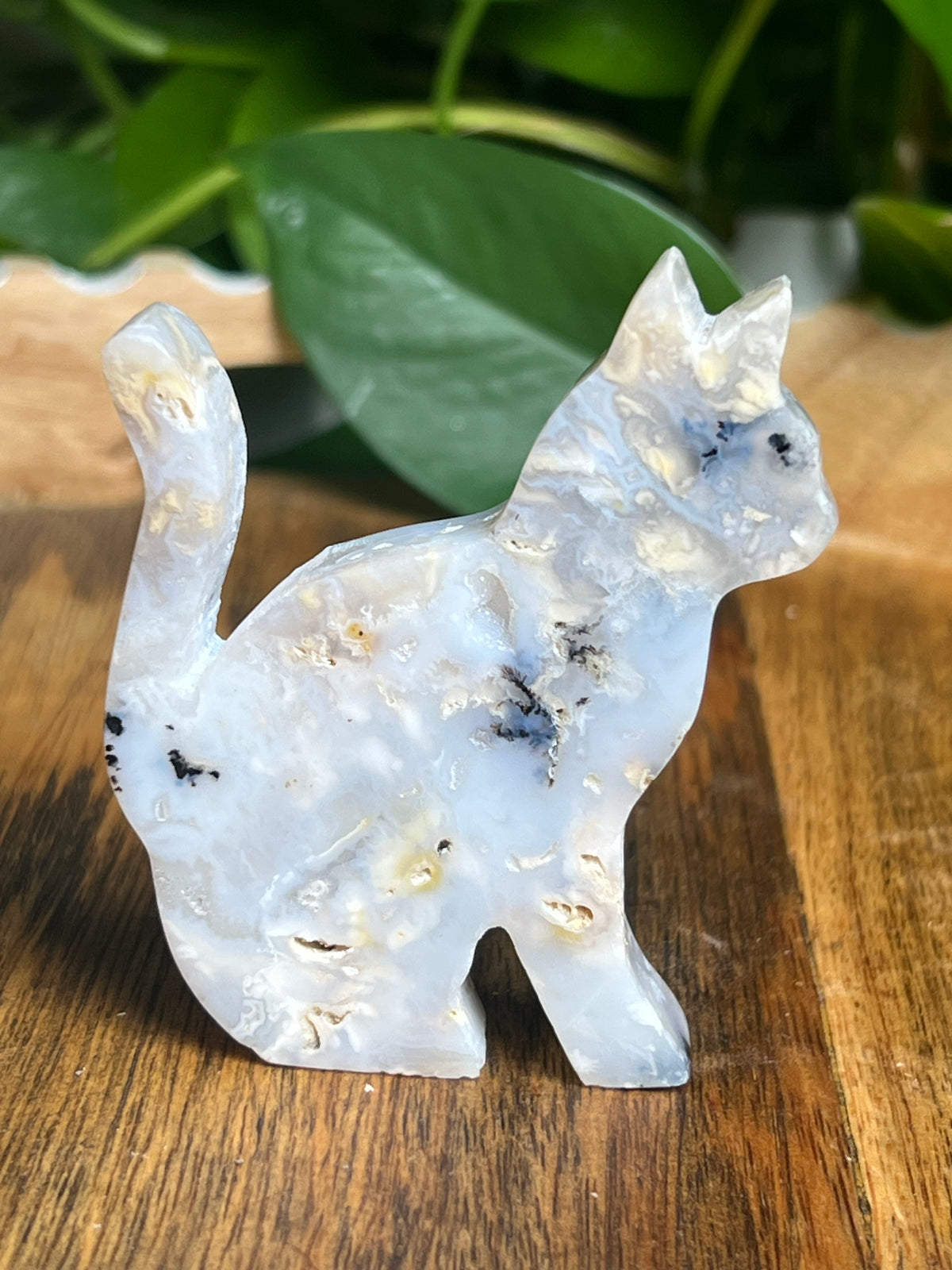 Dendritic Tiger Agate Cat: PC