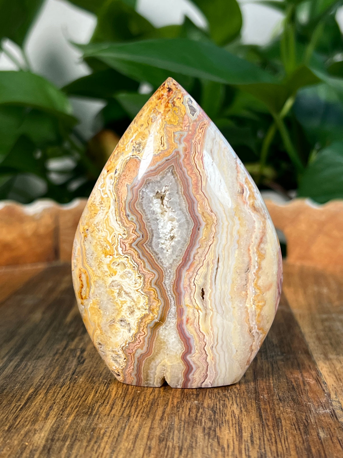 Crazy Lace Agate Flames