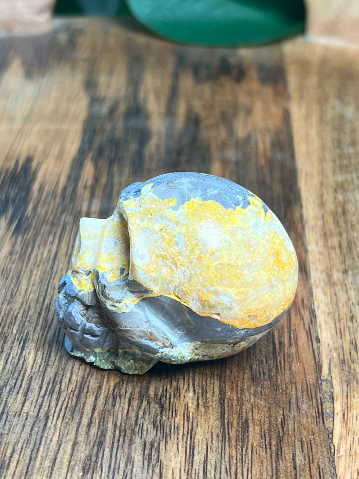 Bumblebee Jasper Mini Skull: E