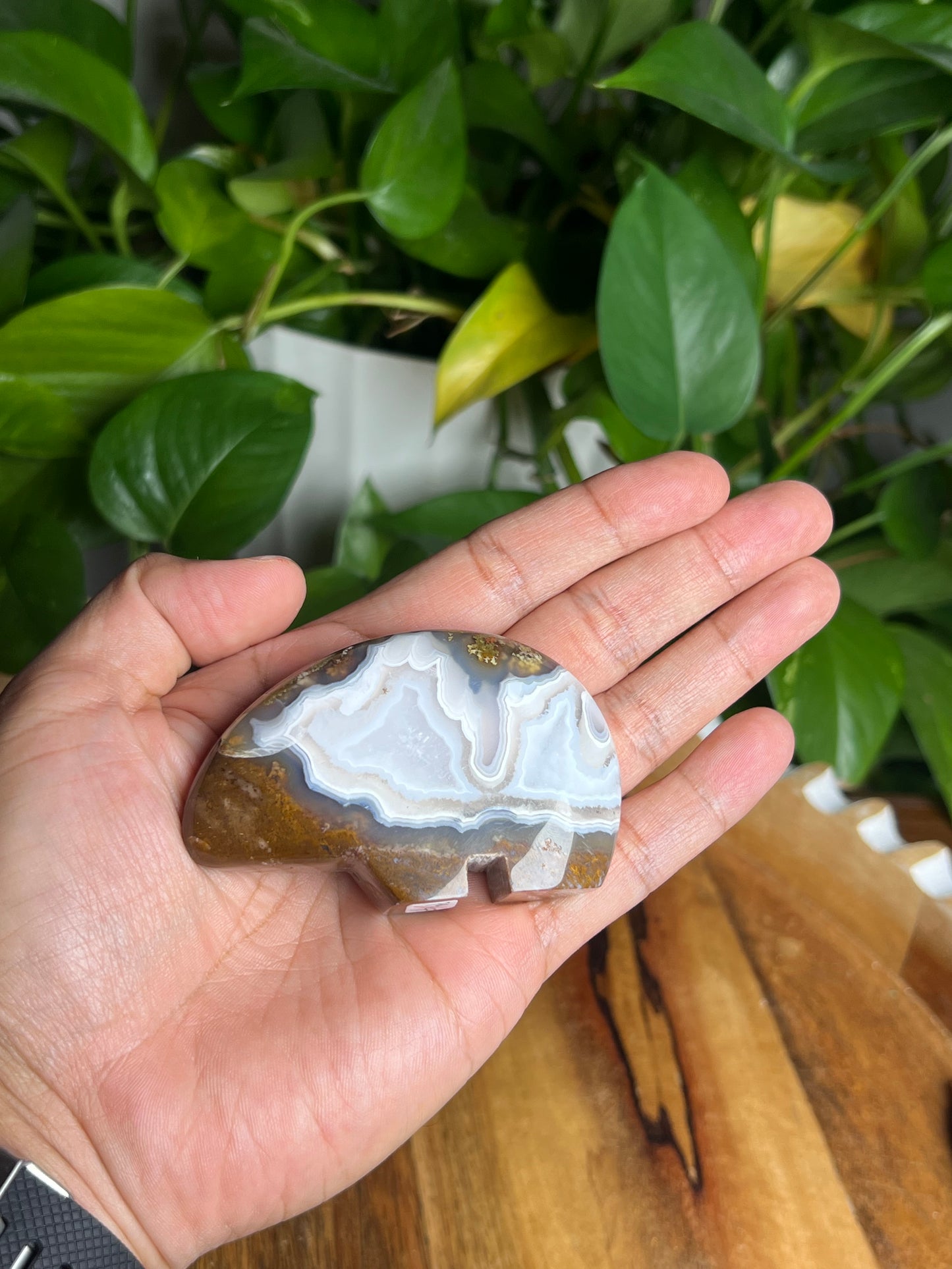 Scenic Moss Agate Bear HF