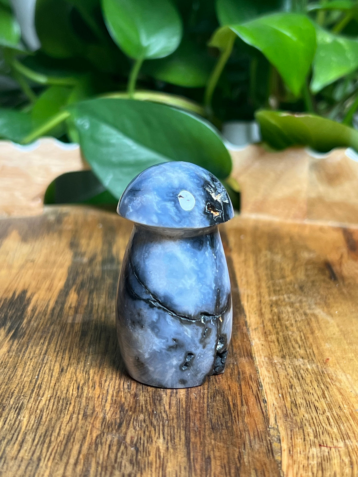 Blue Plume Agate Mushroom: A