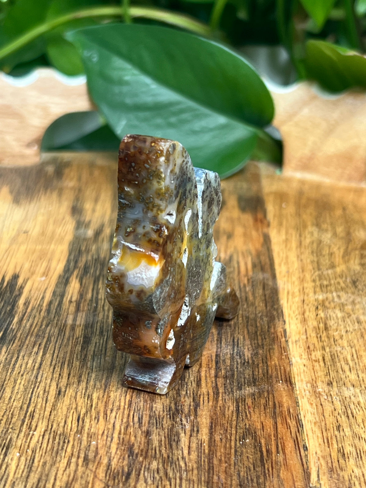 Marcasite Fairy: PE