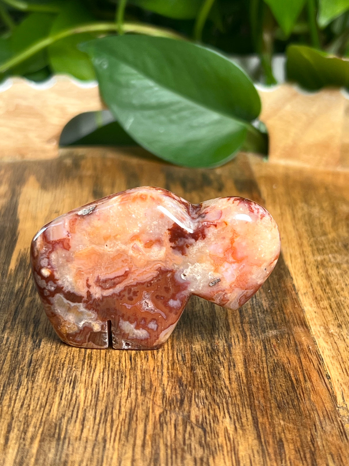 Carnelian Mini Buffalo: BD