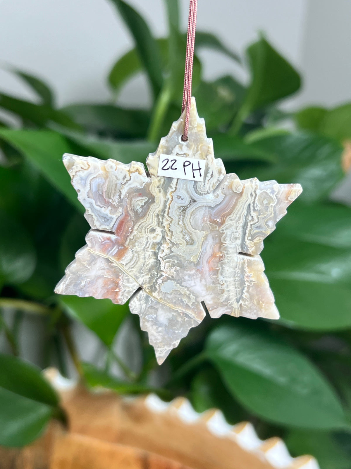 Sumatra Plume Agate Snowflake: PH