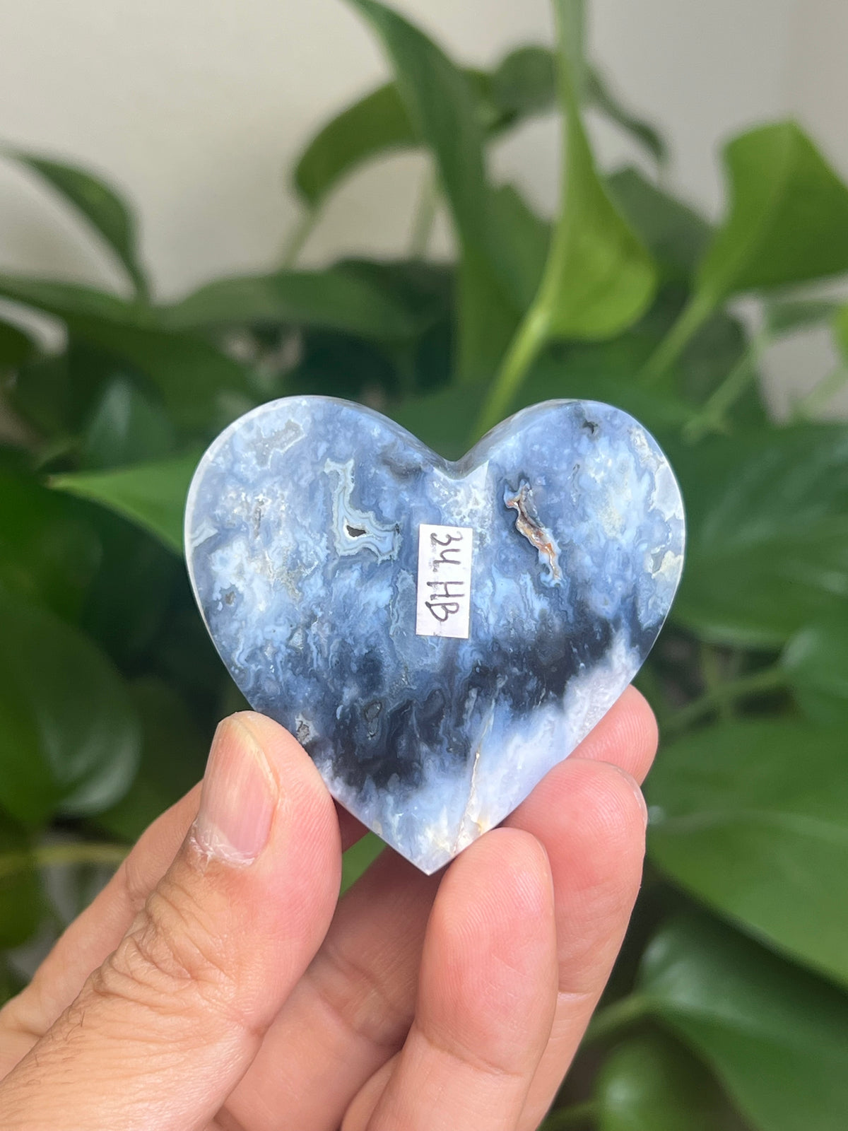 Blue Plume Agate 3D Butterfly: HB