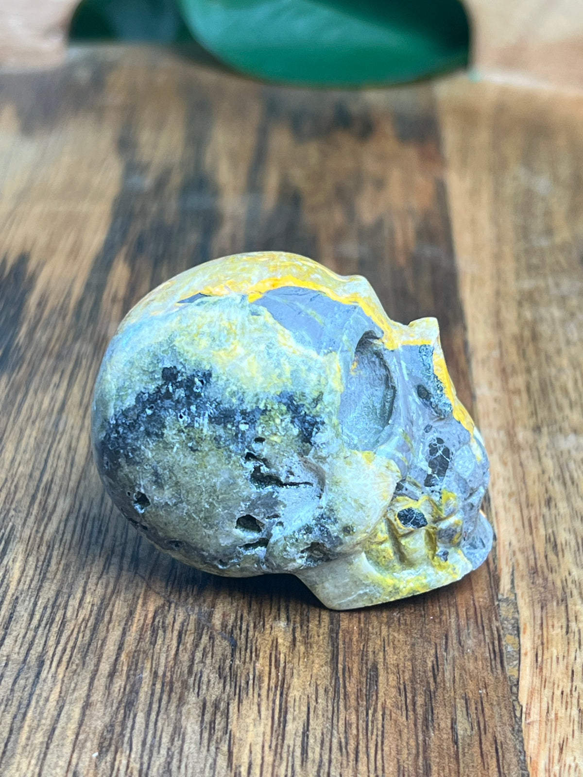 Bumblebee Jasper Mini Skull: C