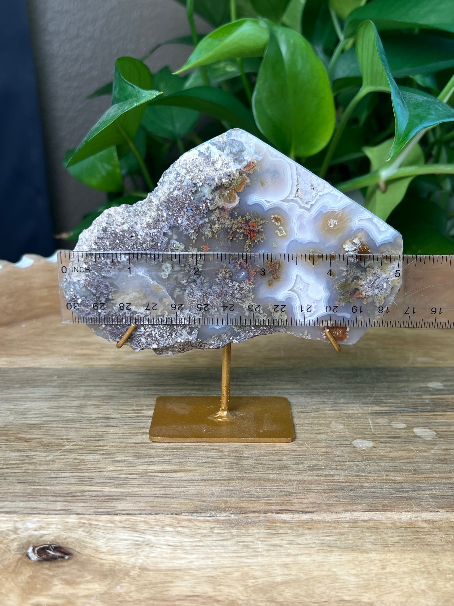 Scenic Moss Agate Slab