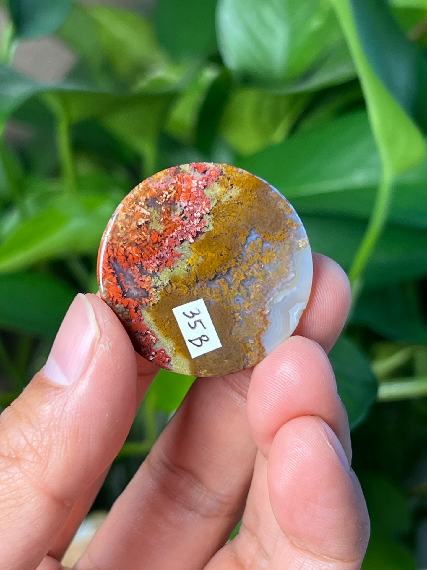 Scenic Moss Agate Cabochon