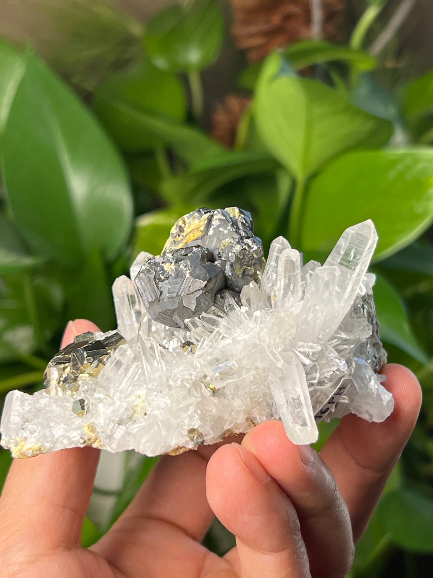 Rainbow Pyrite Quartz