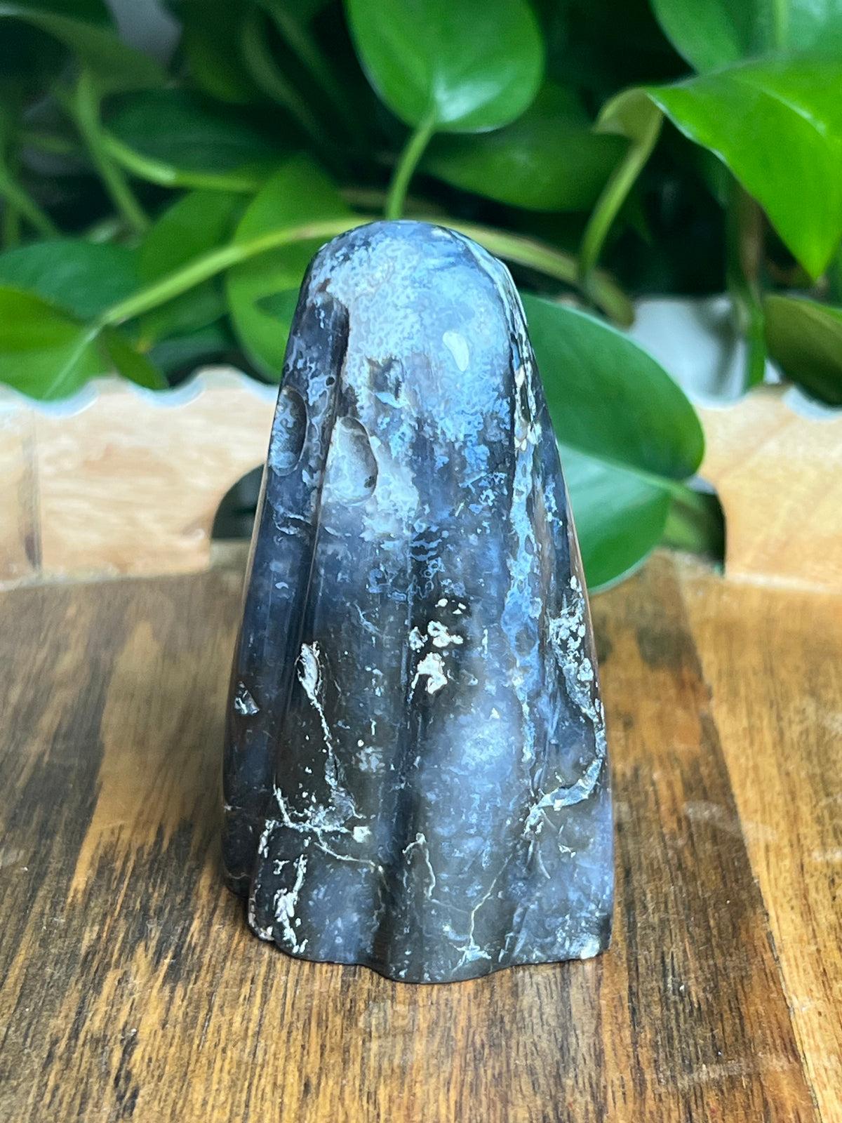Blue Plume Agate Ghost: D