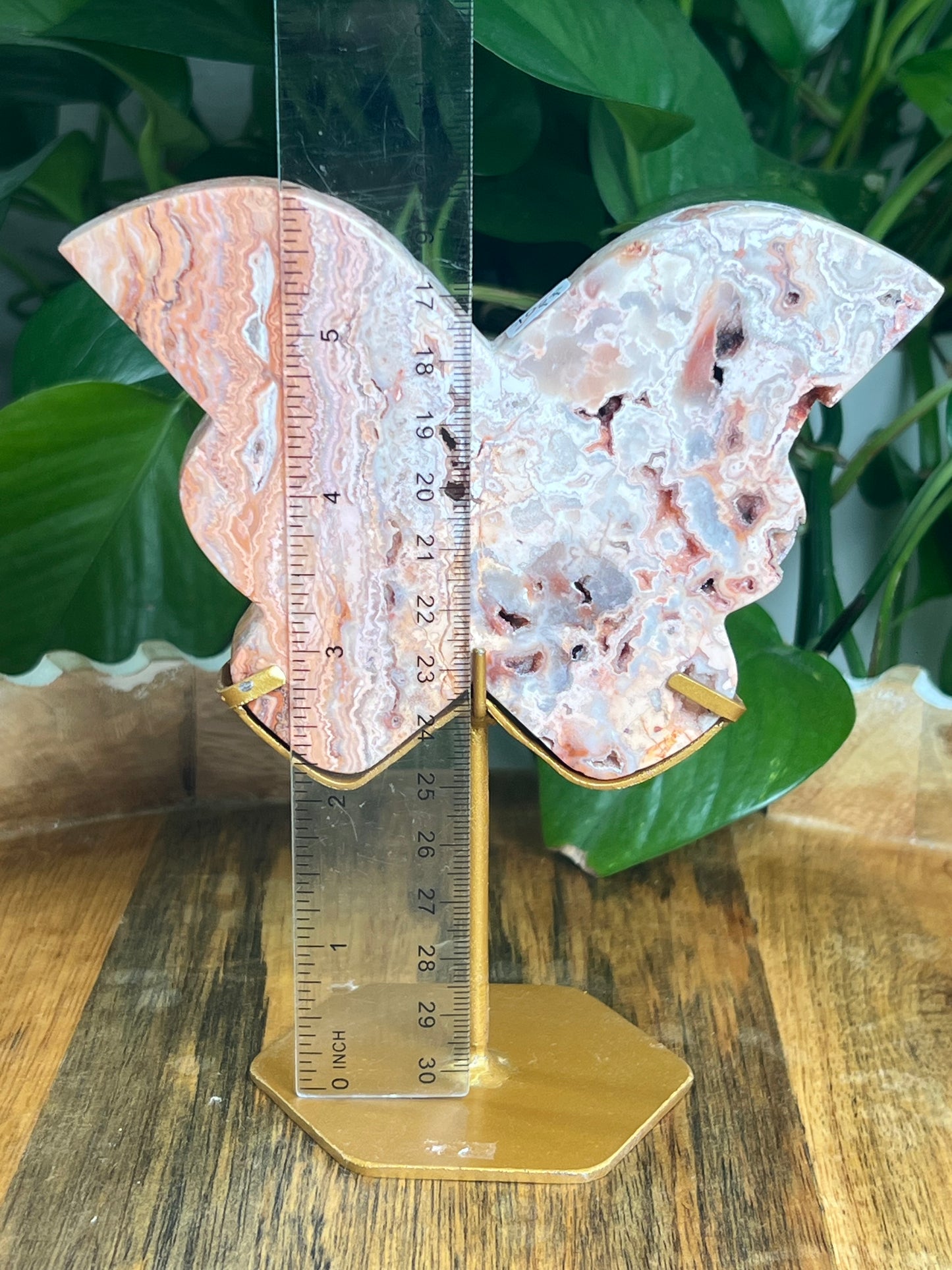 Crazy Lace Agate Butterfly: PF