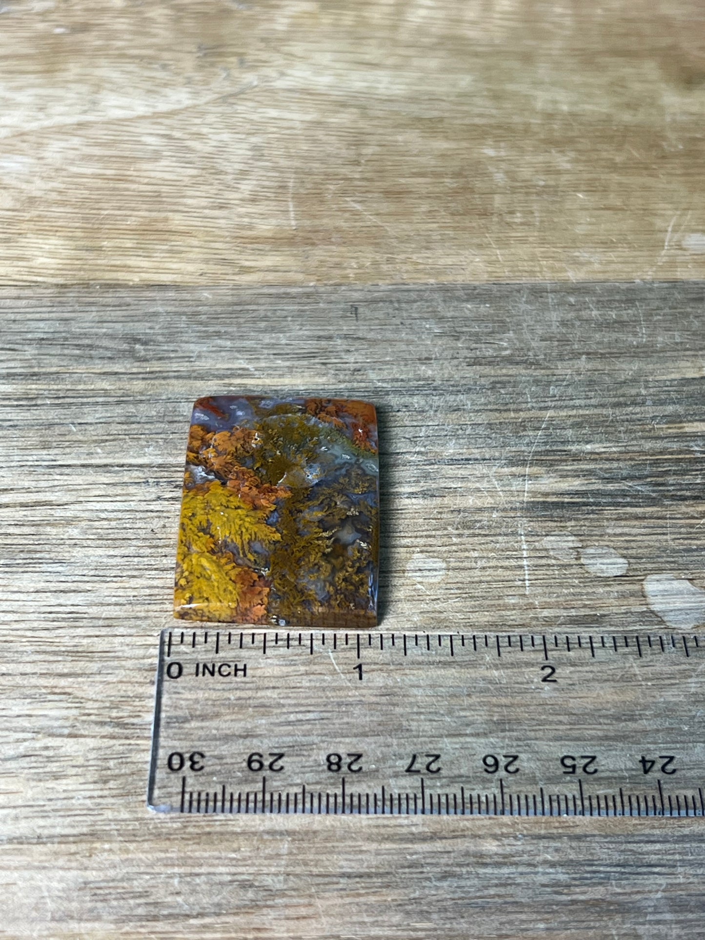 Scenic Moss Agate Cabochon