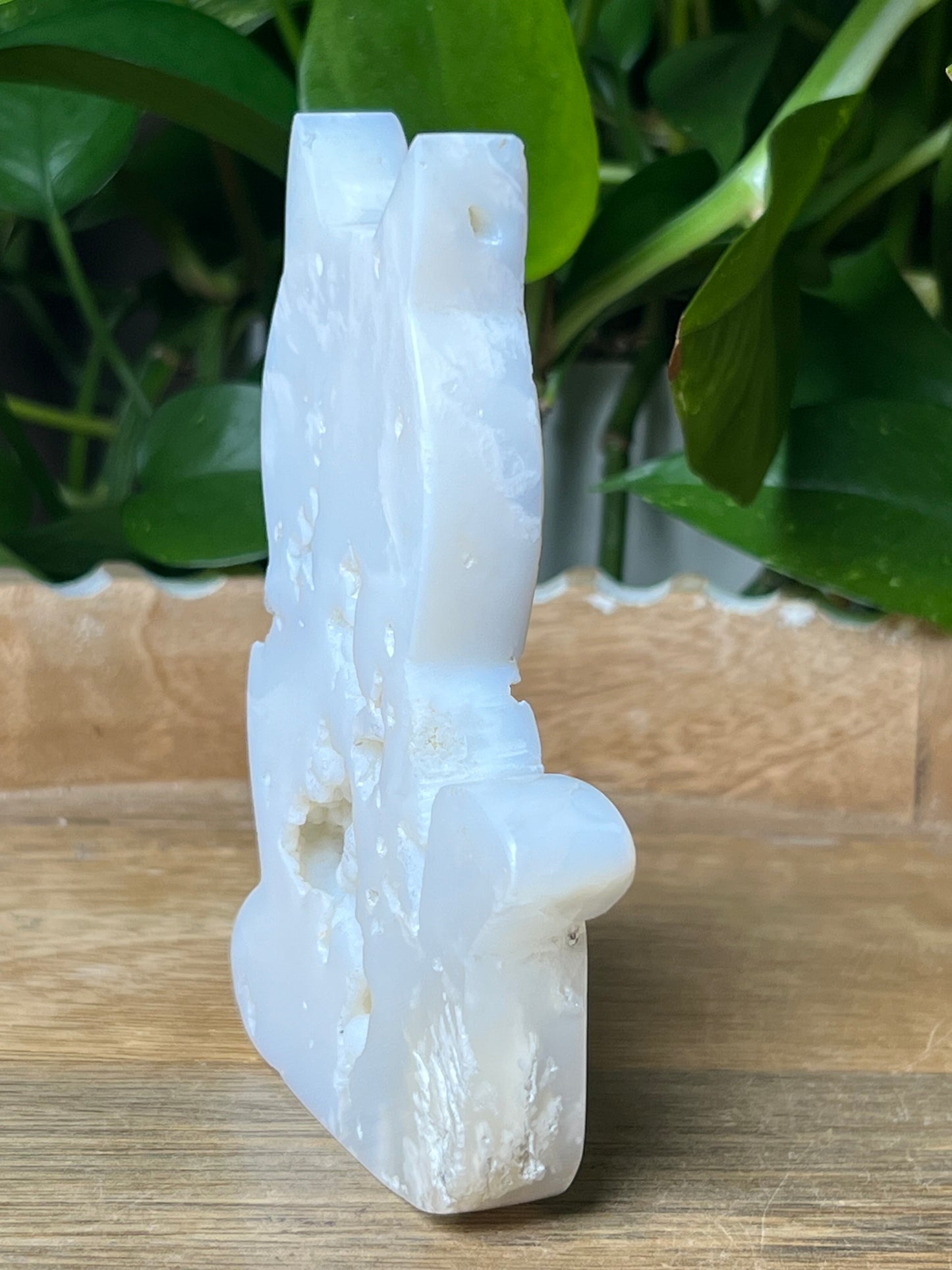 White Plume Agate Cat
