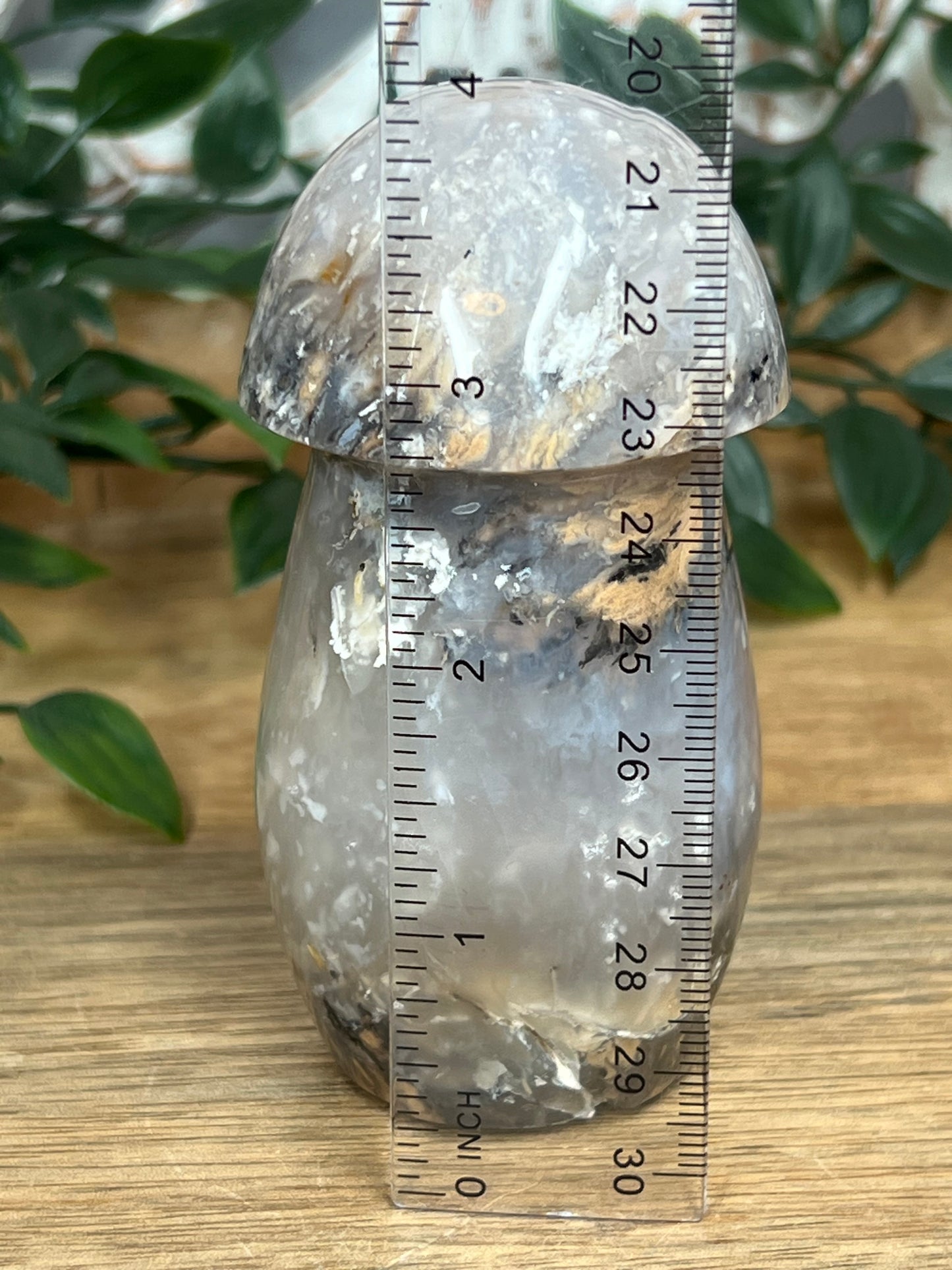 Dendritic Tiger Agate Mushroom