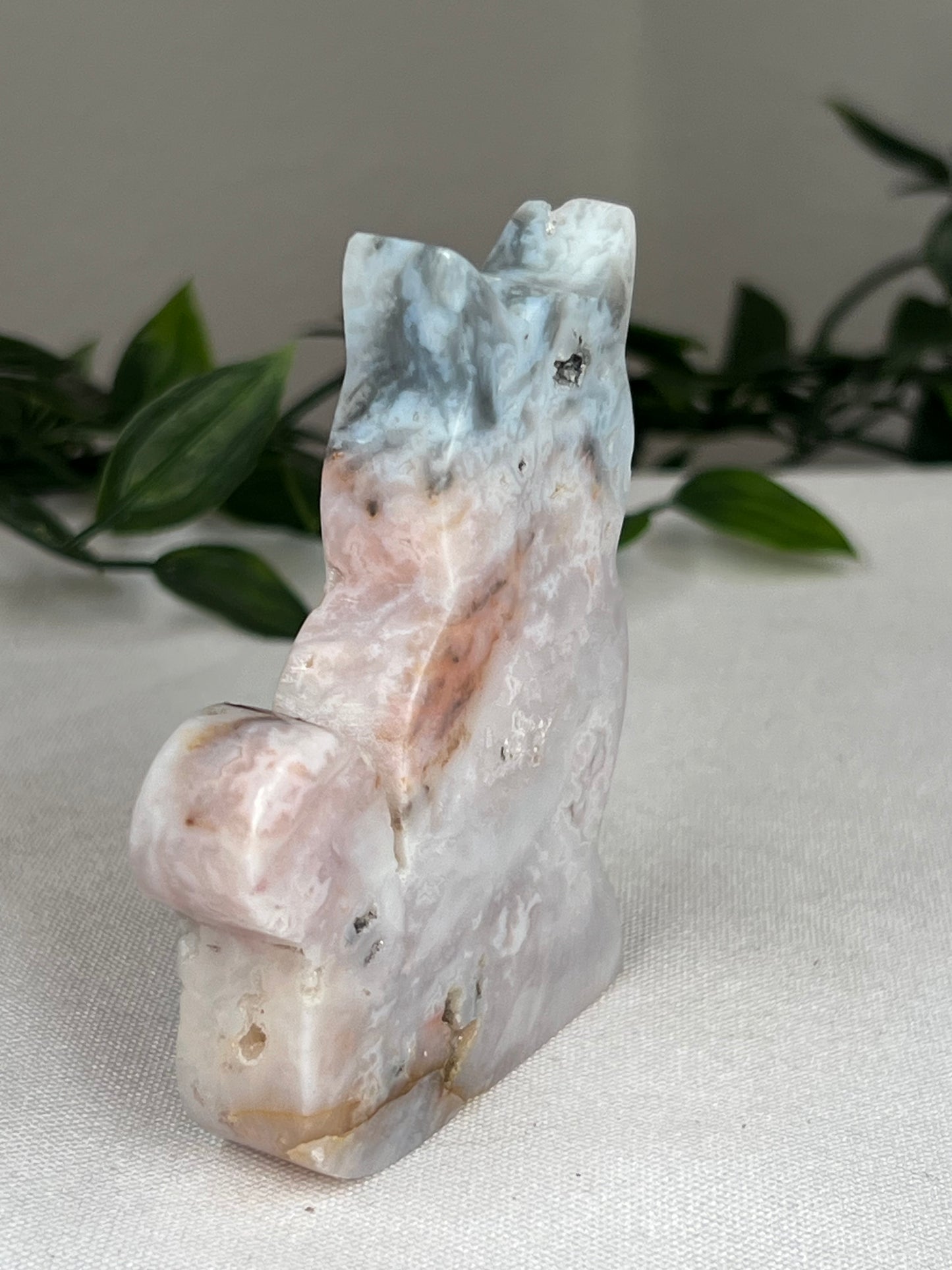 Rainbow Plume Agate Cat