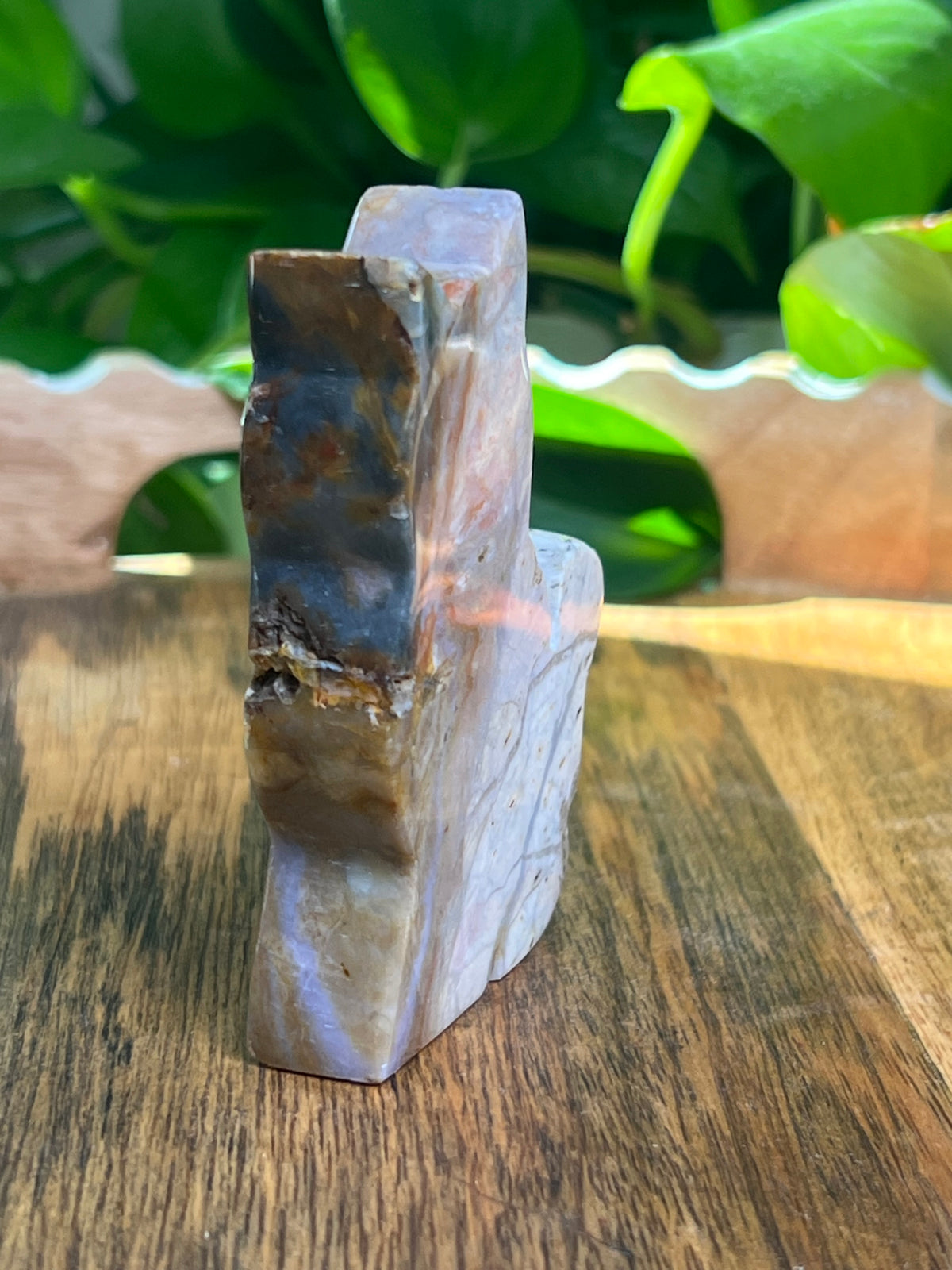River Jasper Cat: PF