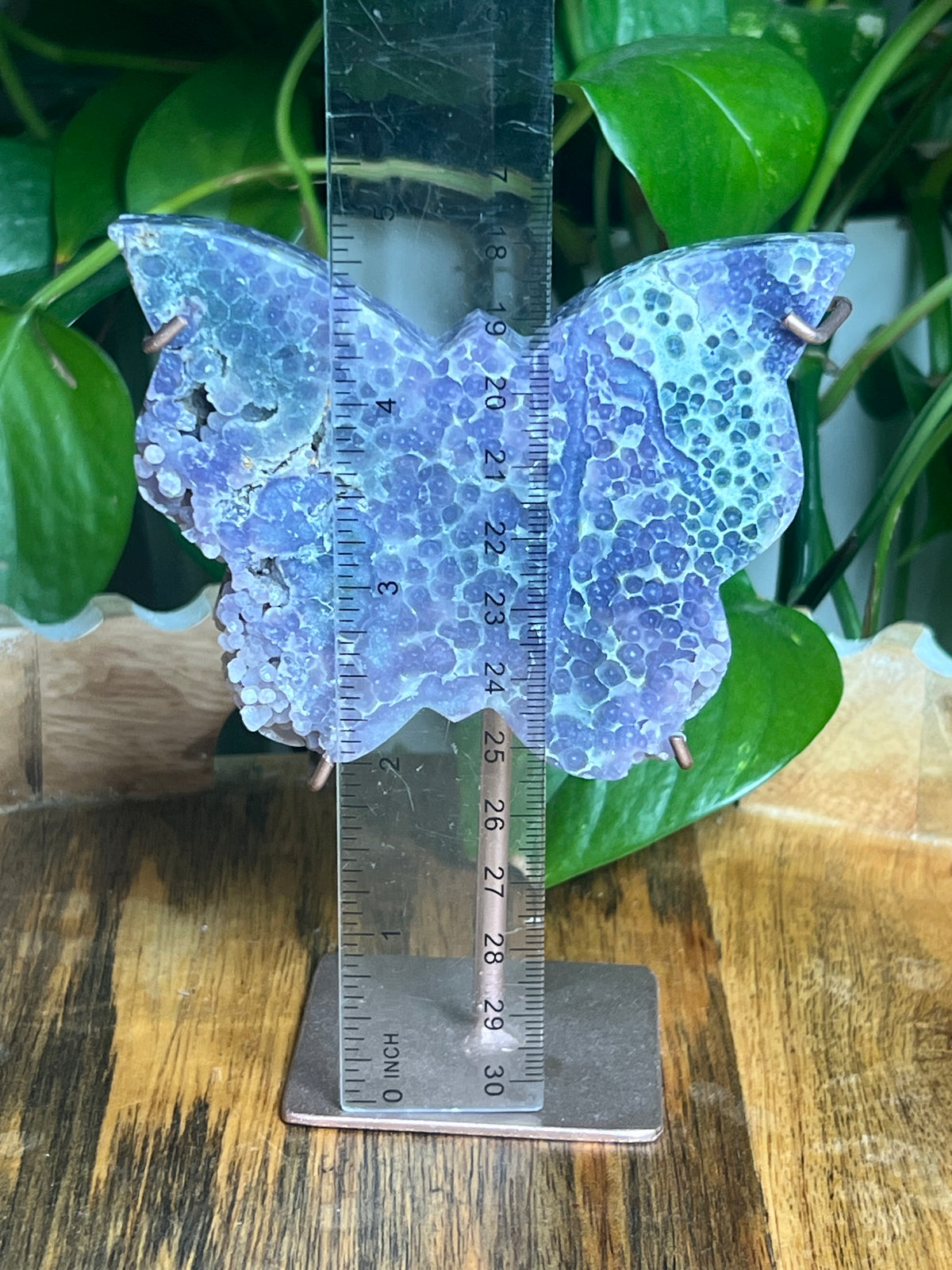 Grape Agate Butterfly: AX