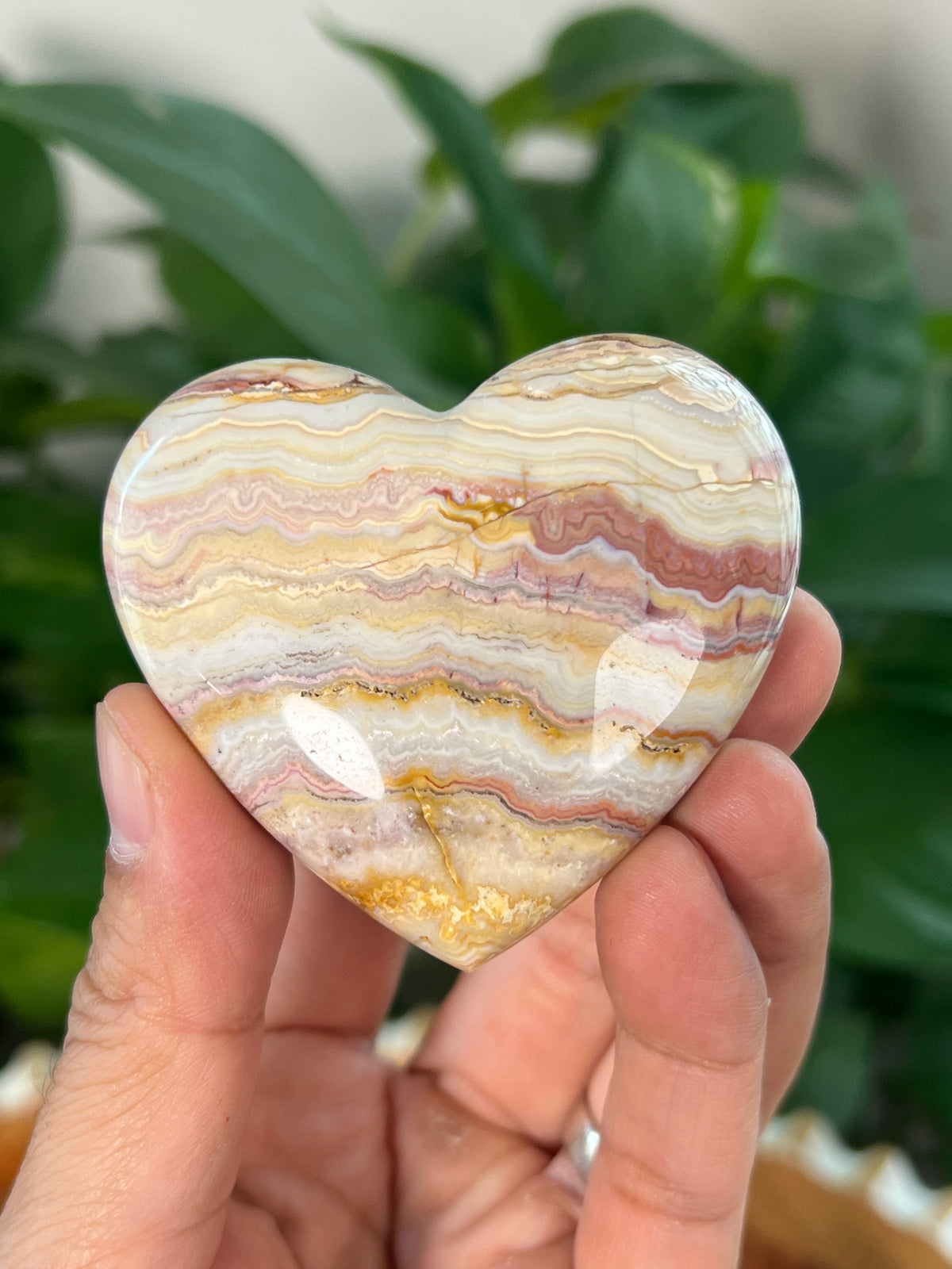 Crazy Lace Agate Small Puffy Moons