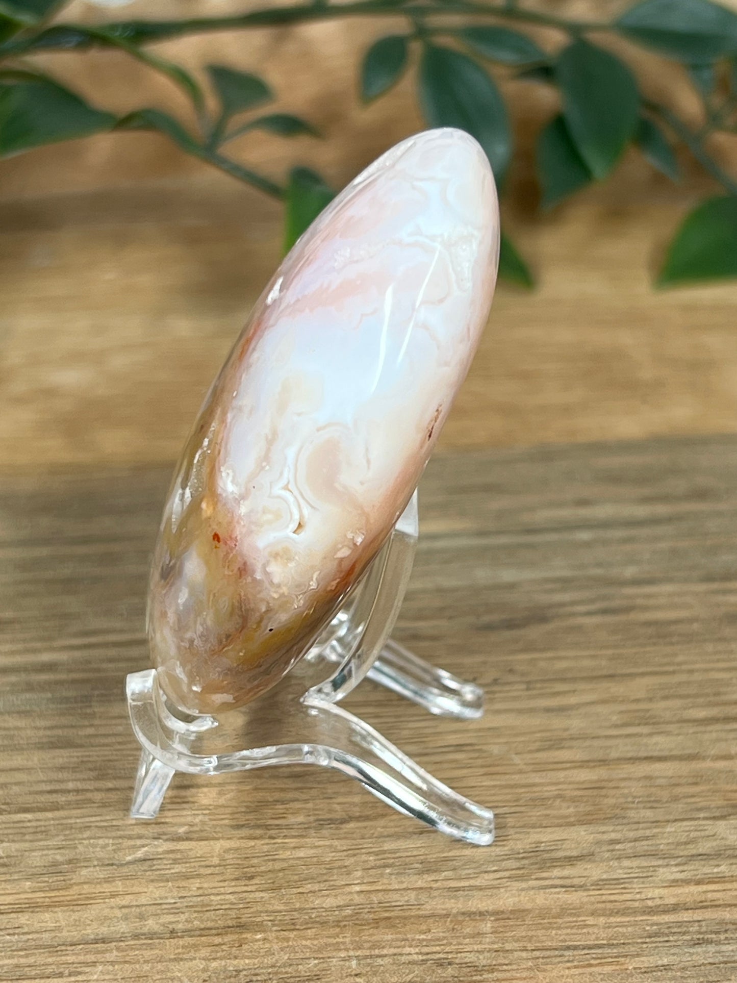 Rainbow Plume Agate Palmstone