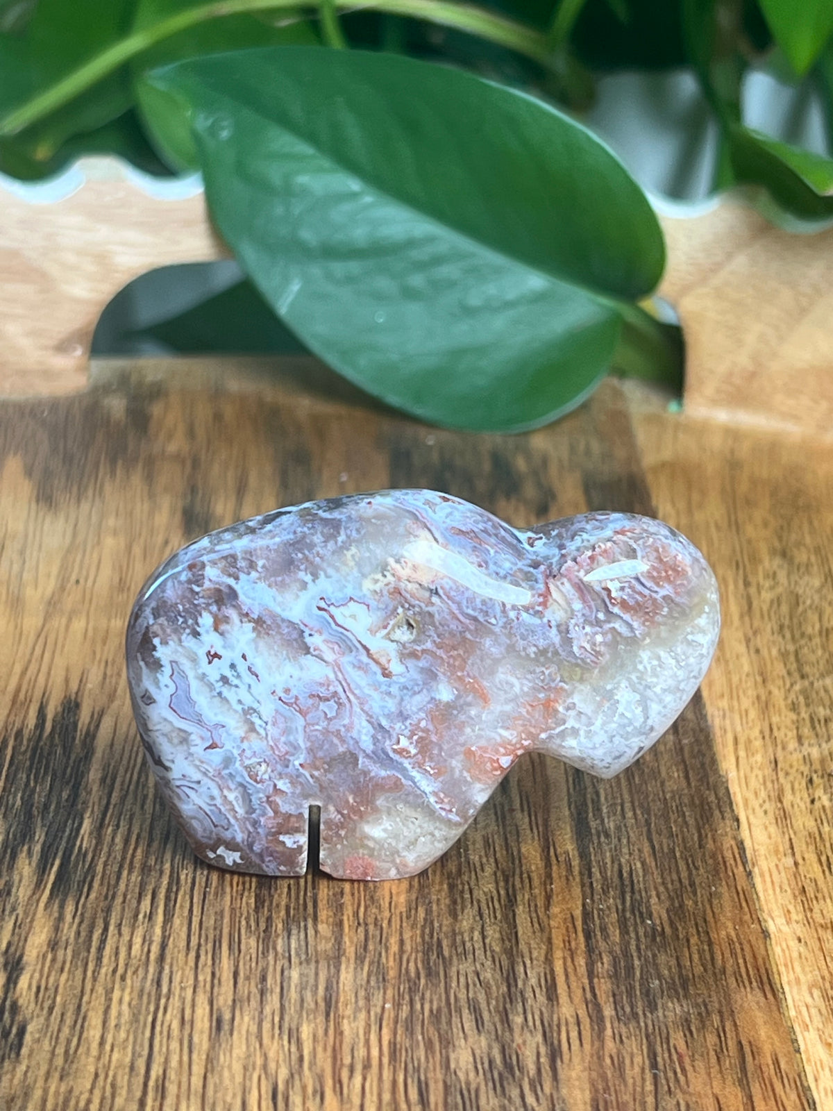 Sumatra Plume Agate Mini Buffalo: DF