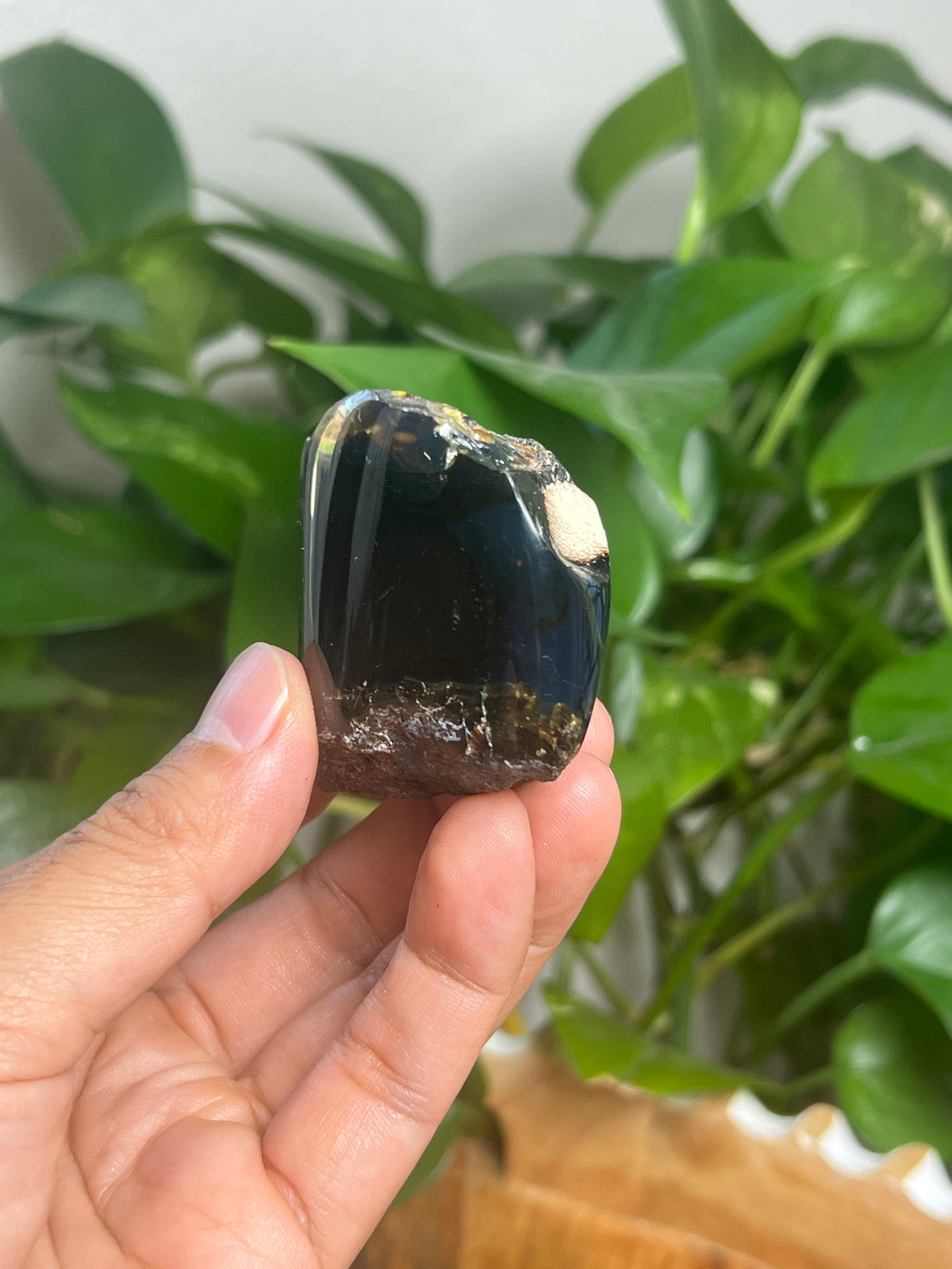 Blue Amber Freeform: SK